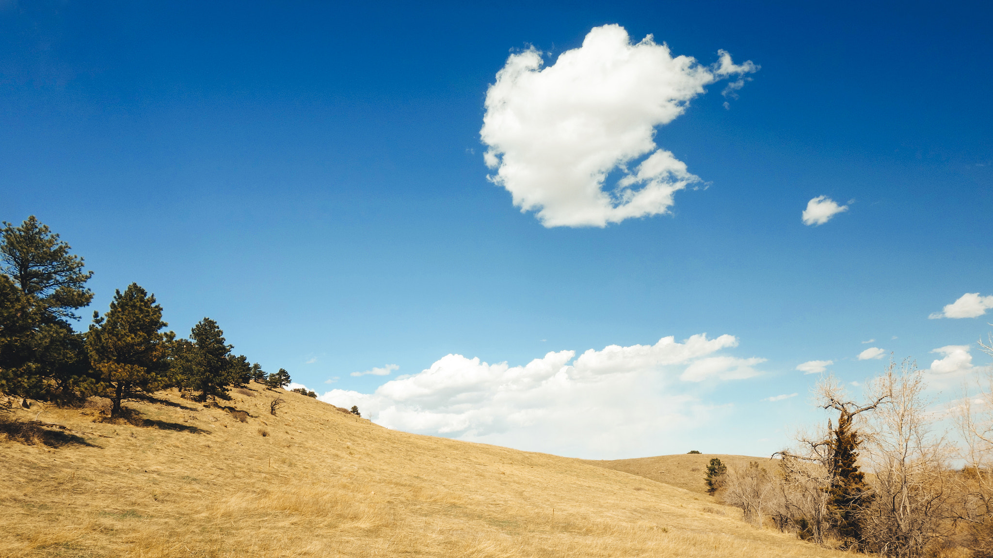 Sony 28-100mm F1.8-4.9 sample photo. Boulder open space photography