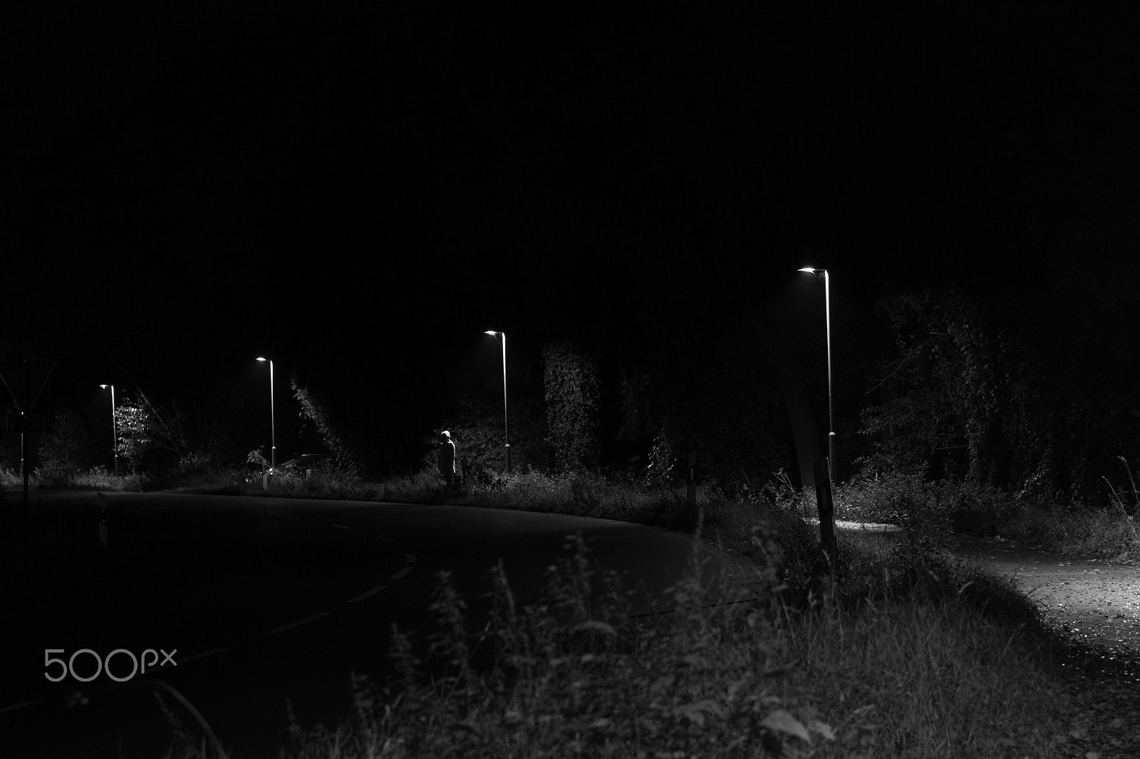 Canon EOS 60D sample photo. Waiting photography