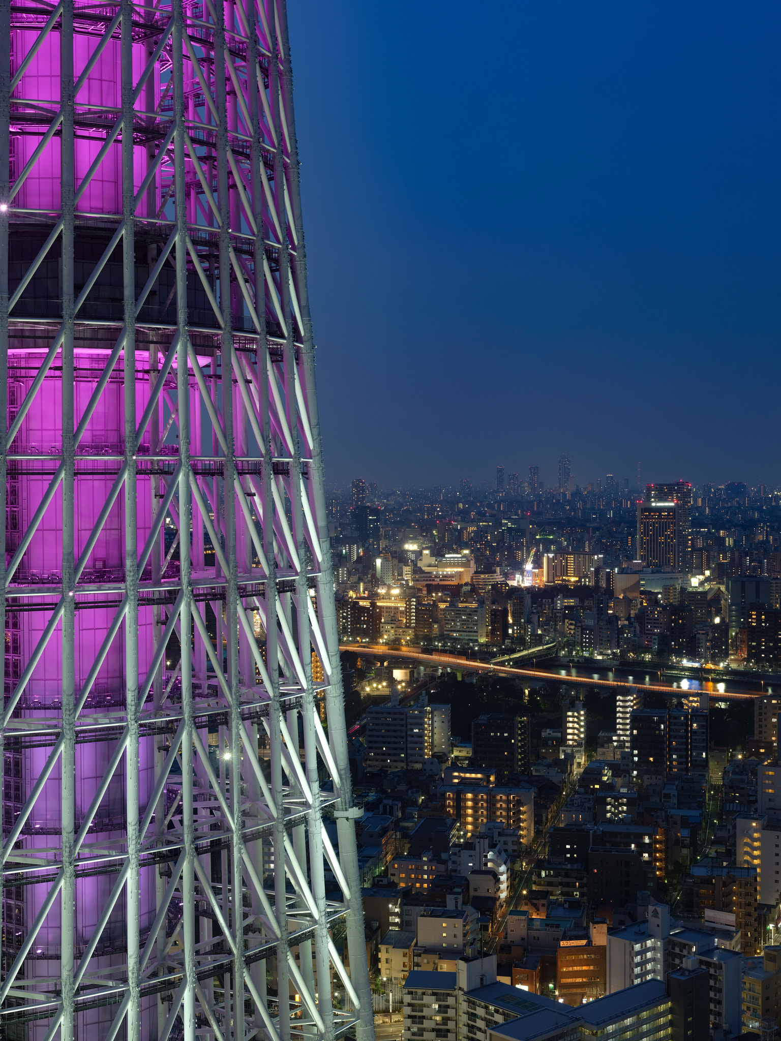 Fujifilm GFX 50S + Fujifilm GF 63mm F2.8 R WR sample photo. Skytree and night city photography