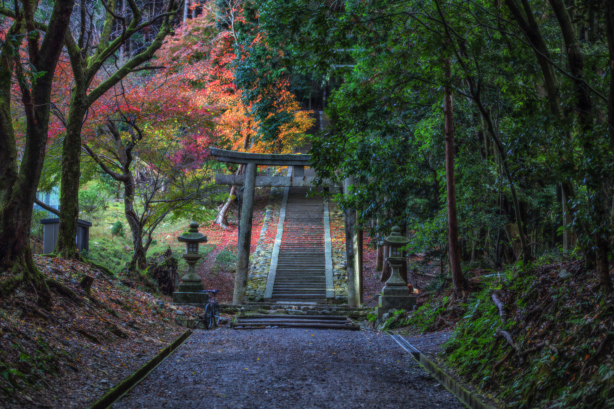 Sigma 70-200mm F2.8 EX DG OS HSM sample photo. Hidden door photography