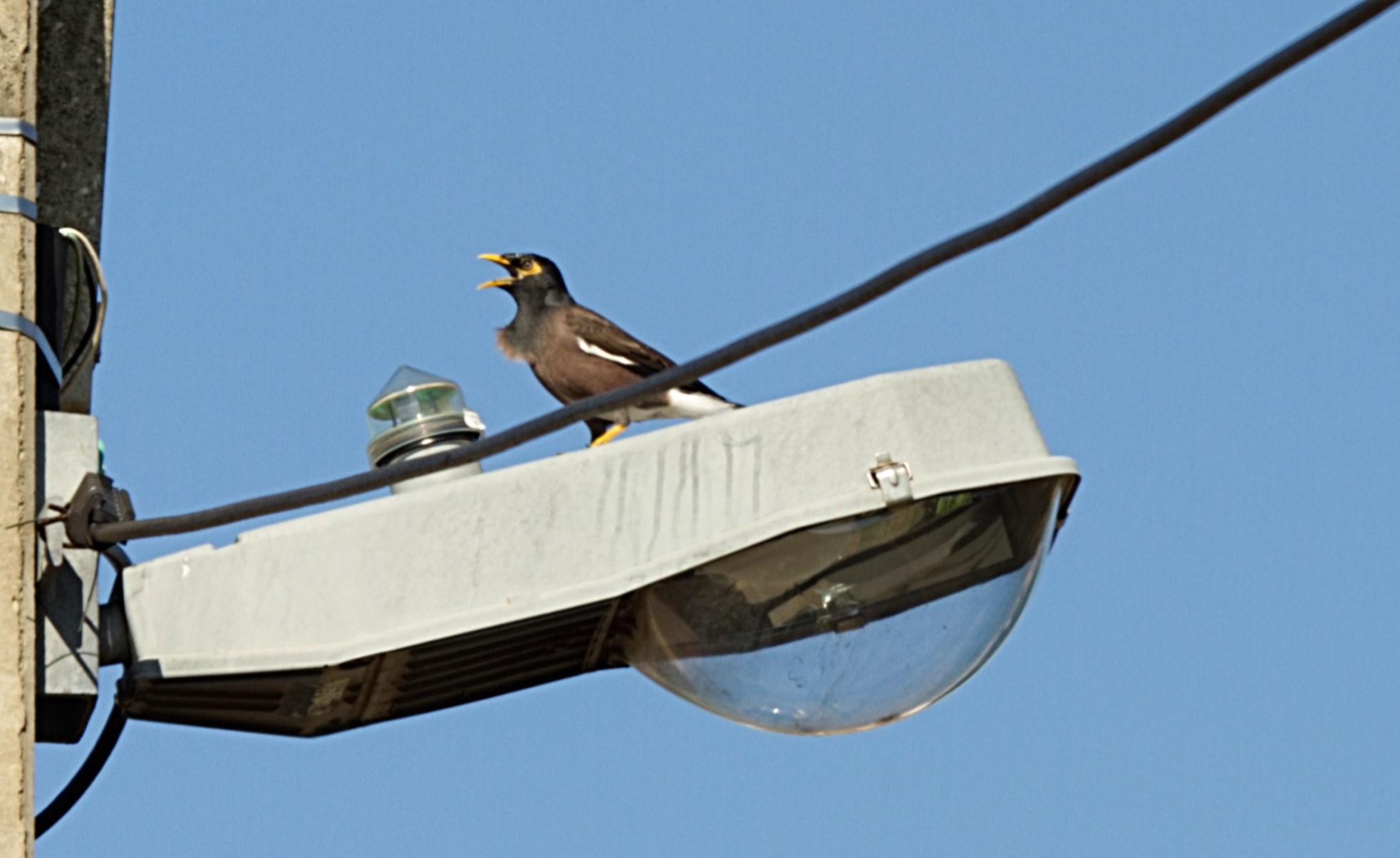 70.0 - 200.0 mm sample photo. Calling the electrician photography