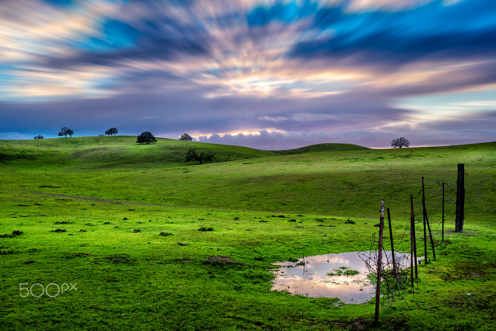 Sony a7R II sample photo. Needed rain photography