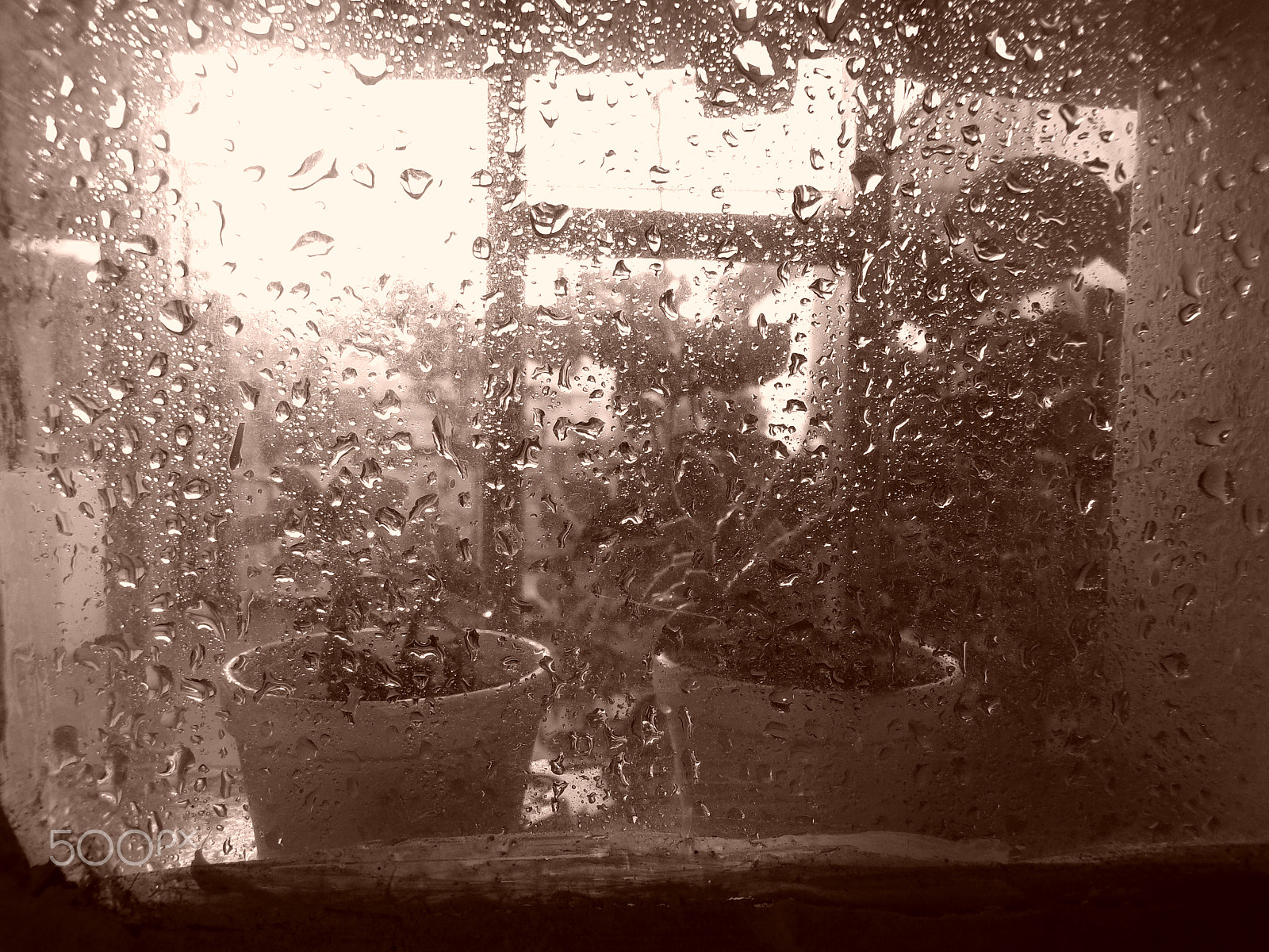 JK KODAK PIXPRO AZ421 sample photo. Sepia rain photography