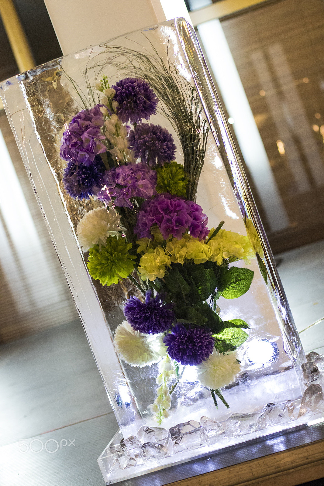 Canon EOS 80D + Canon EF 50mm F1.4 USM sample photo. Frozen flower photography