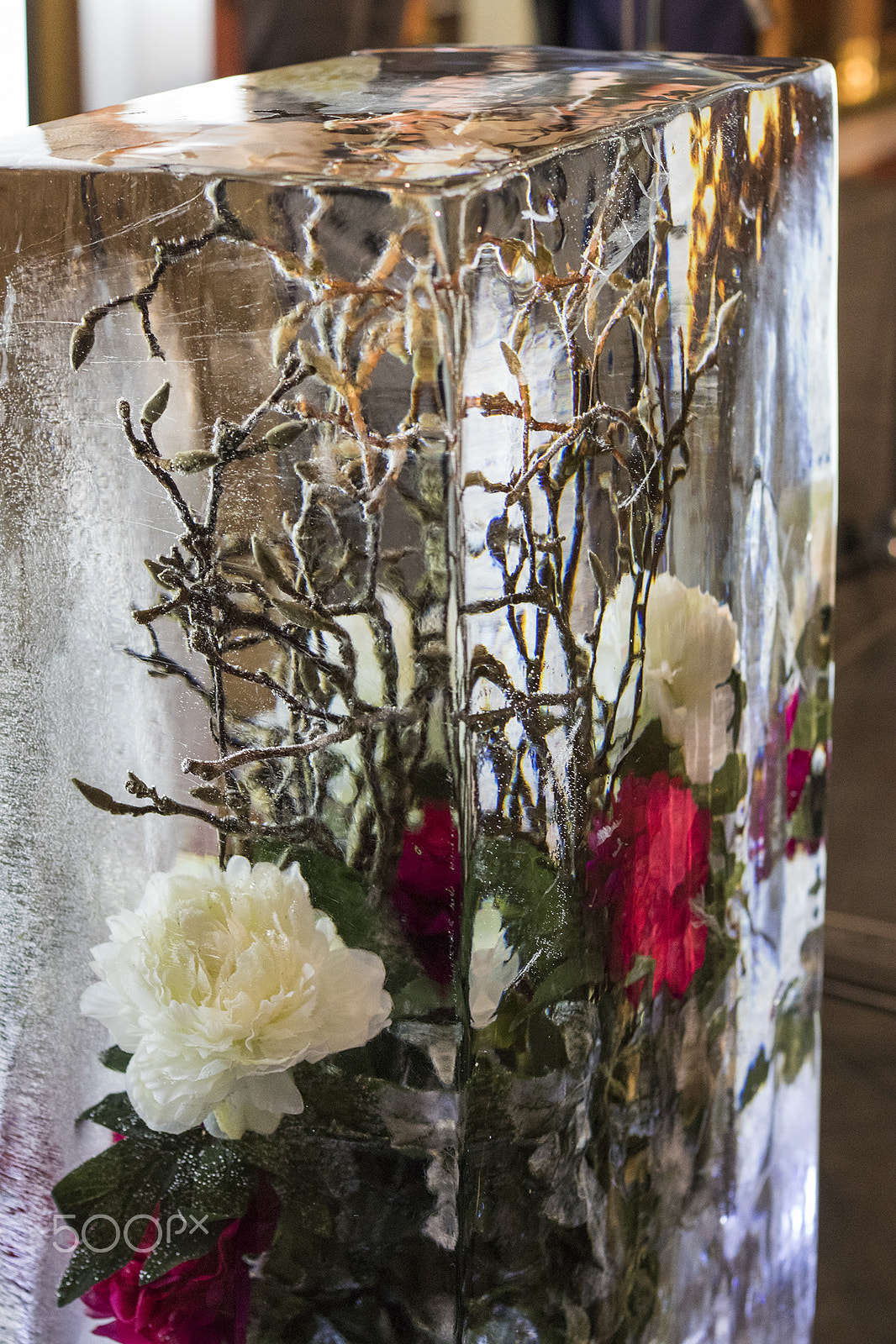 Canon EOS 80D + Canon EF 50mm F1.4 USM sample photo. Frozen flower-2 photography