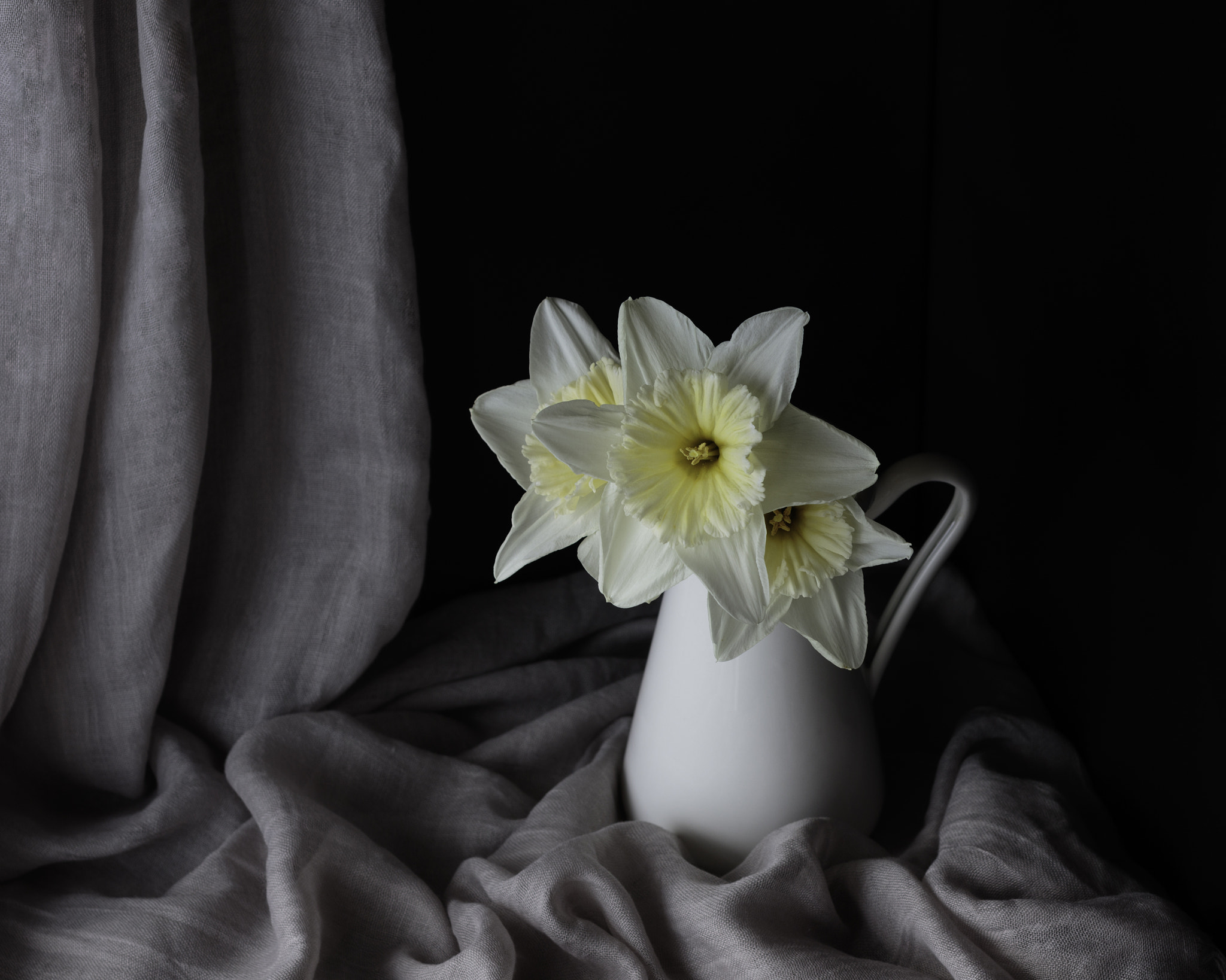 Canon EOS 7D Mark II sample photo. Daffodils photography