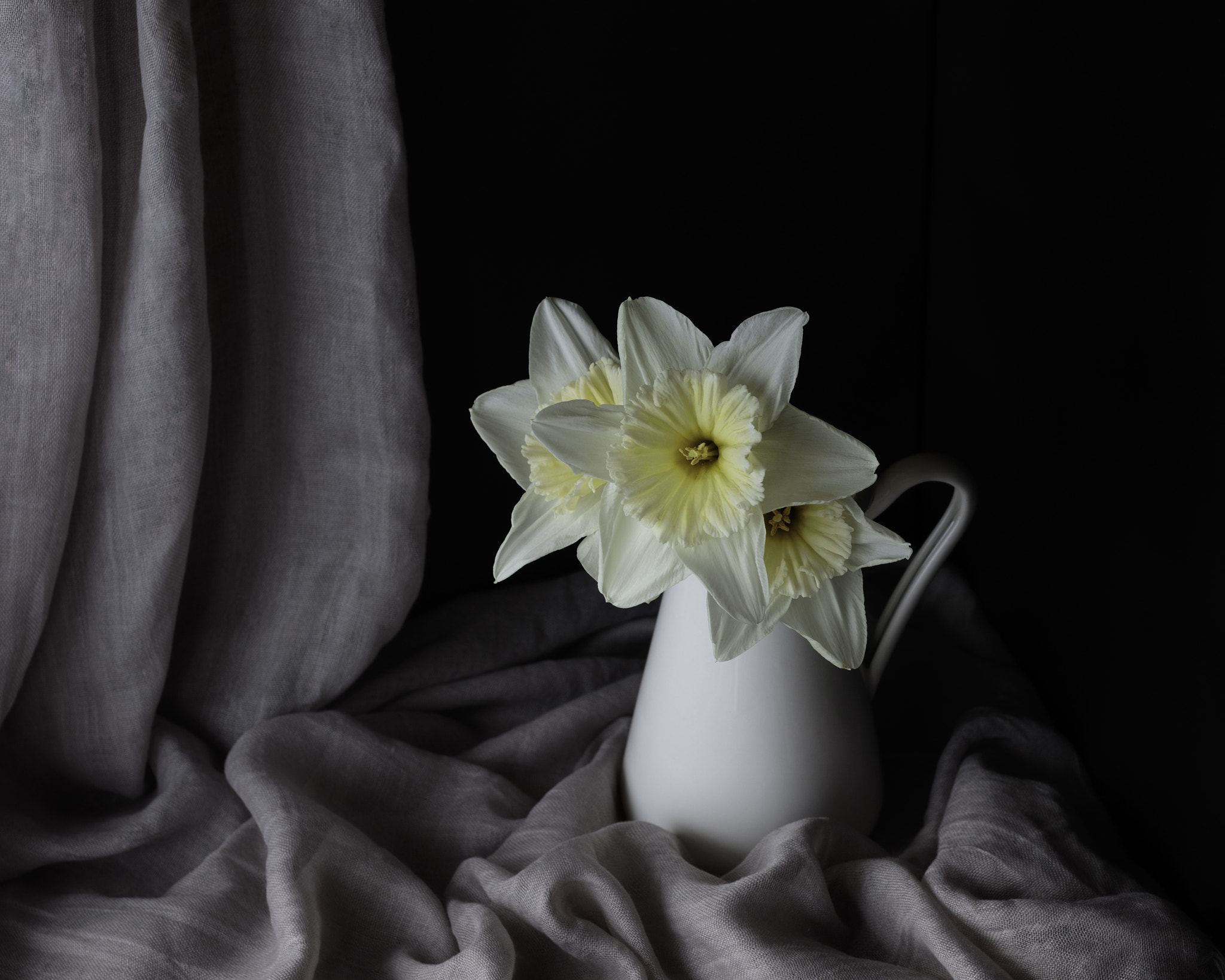 Canon EF 50mm F1.8 II sample photo. Daffodils photography