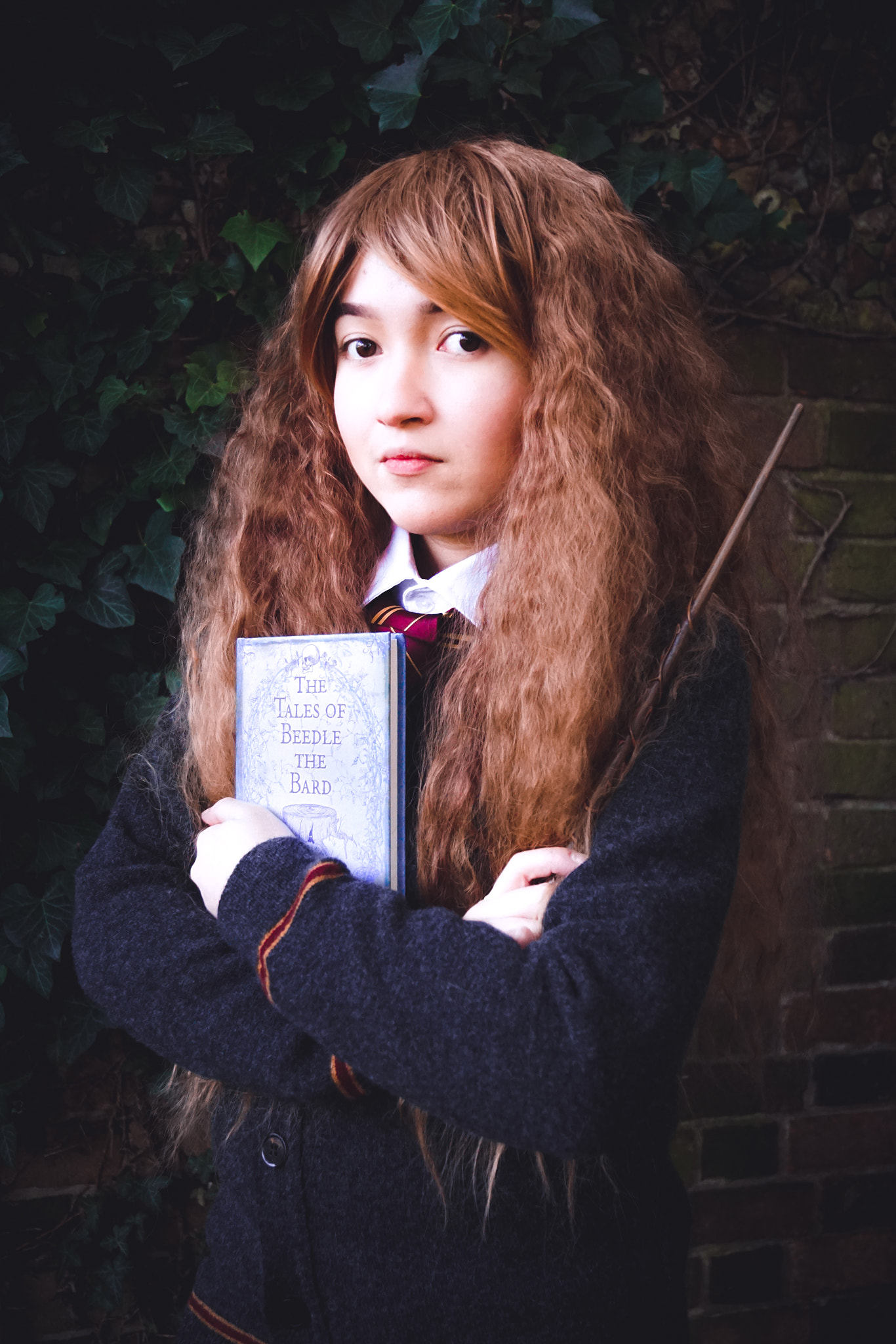 Sony DT 18-55mm F3.5-5.6 SAM II sample photo. Beedle the bard photography