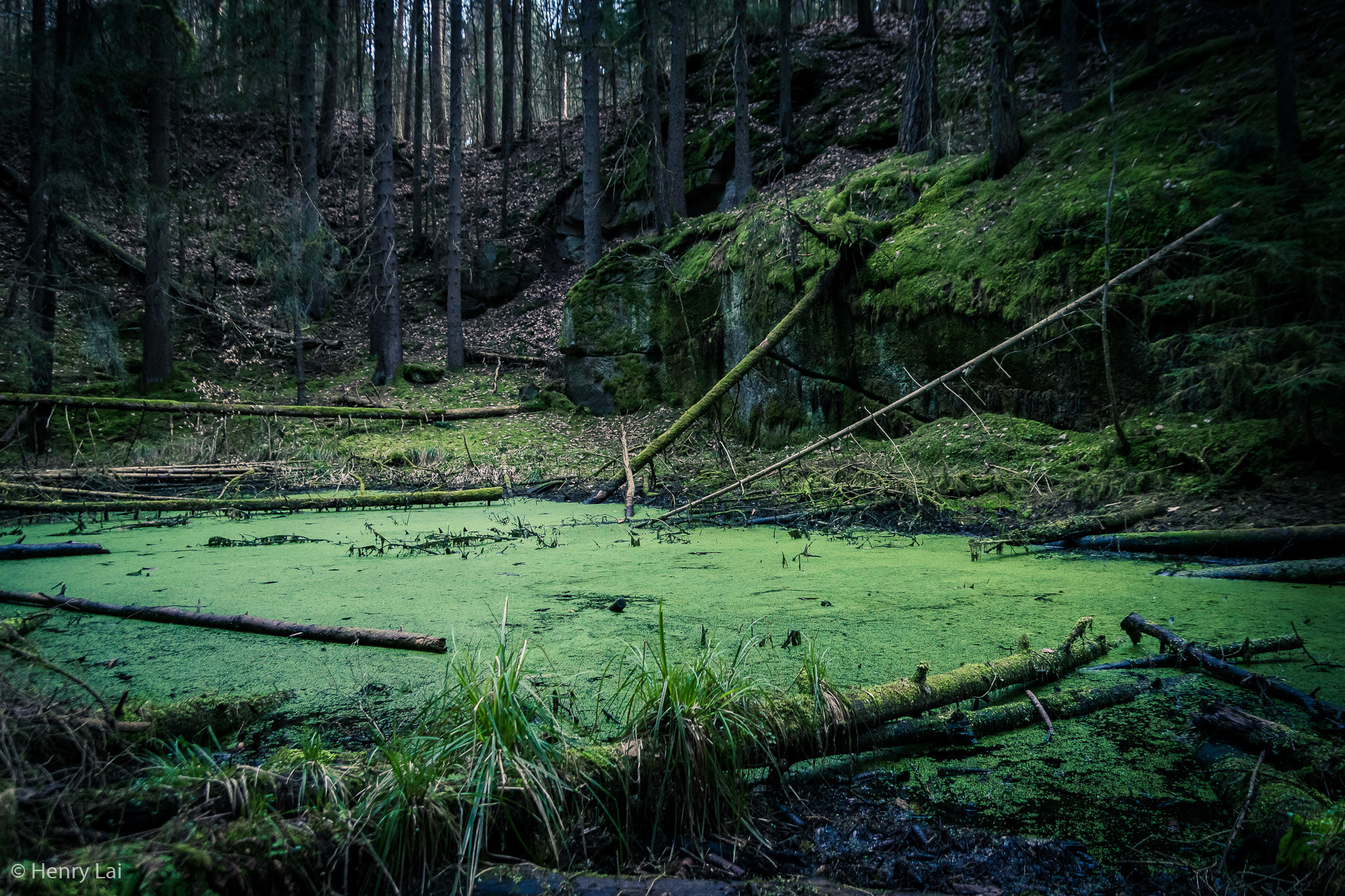 Sony ILCA-77M2 sample photo. Creepy lake photography