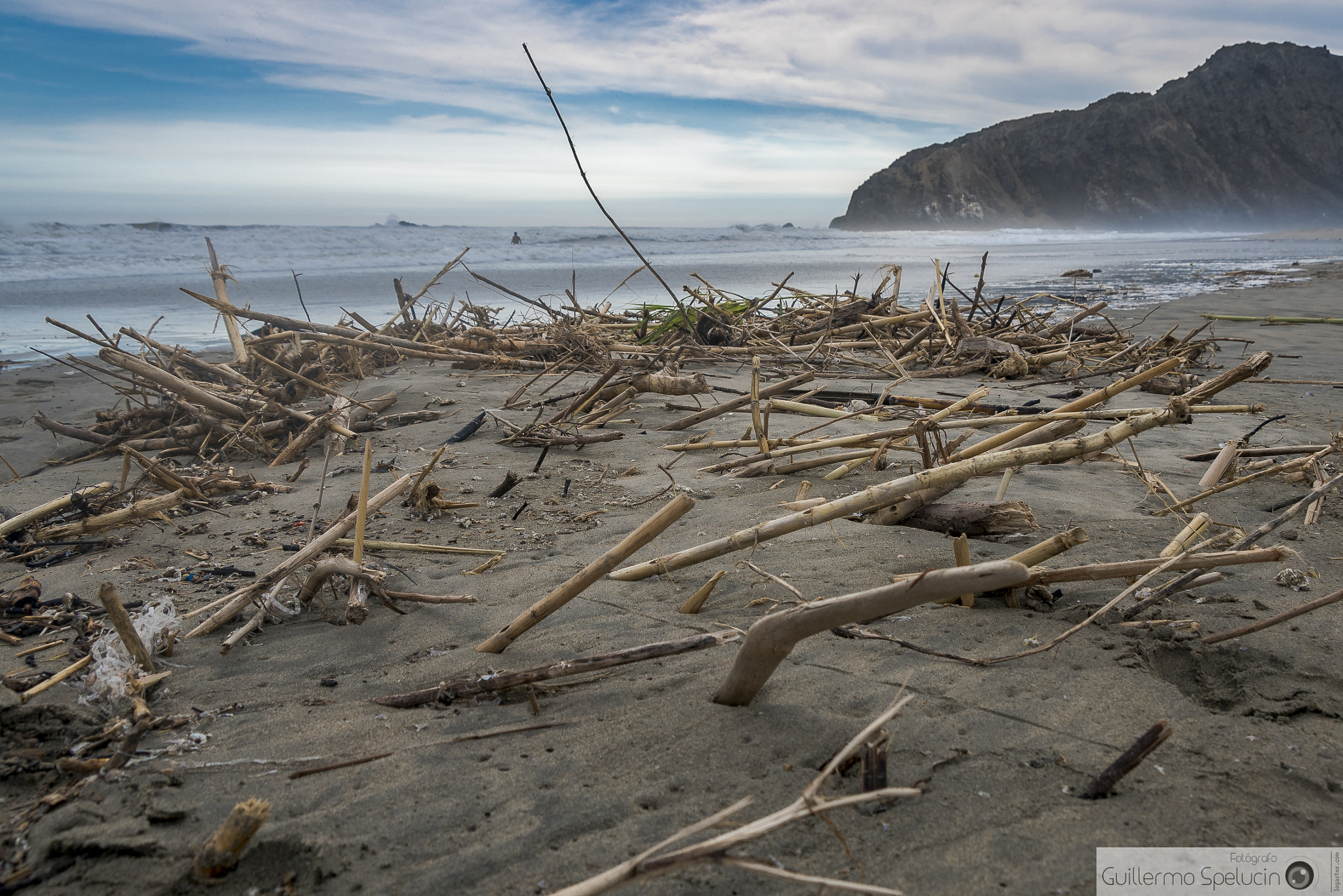 Sony a7R II sample photo. Beach with sticks photography