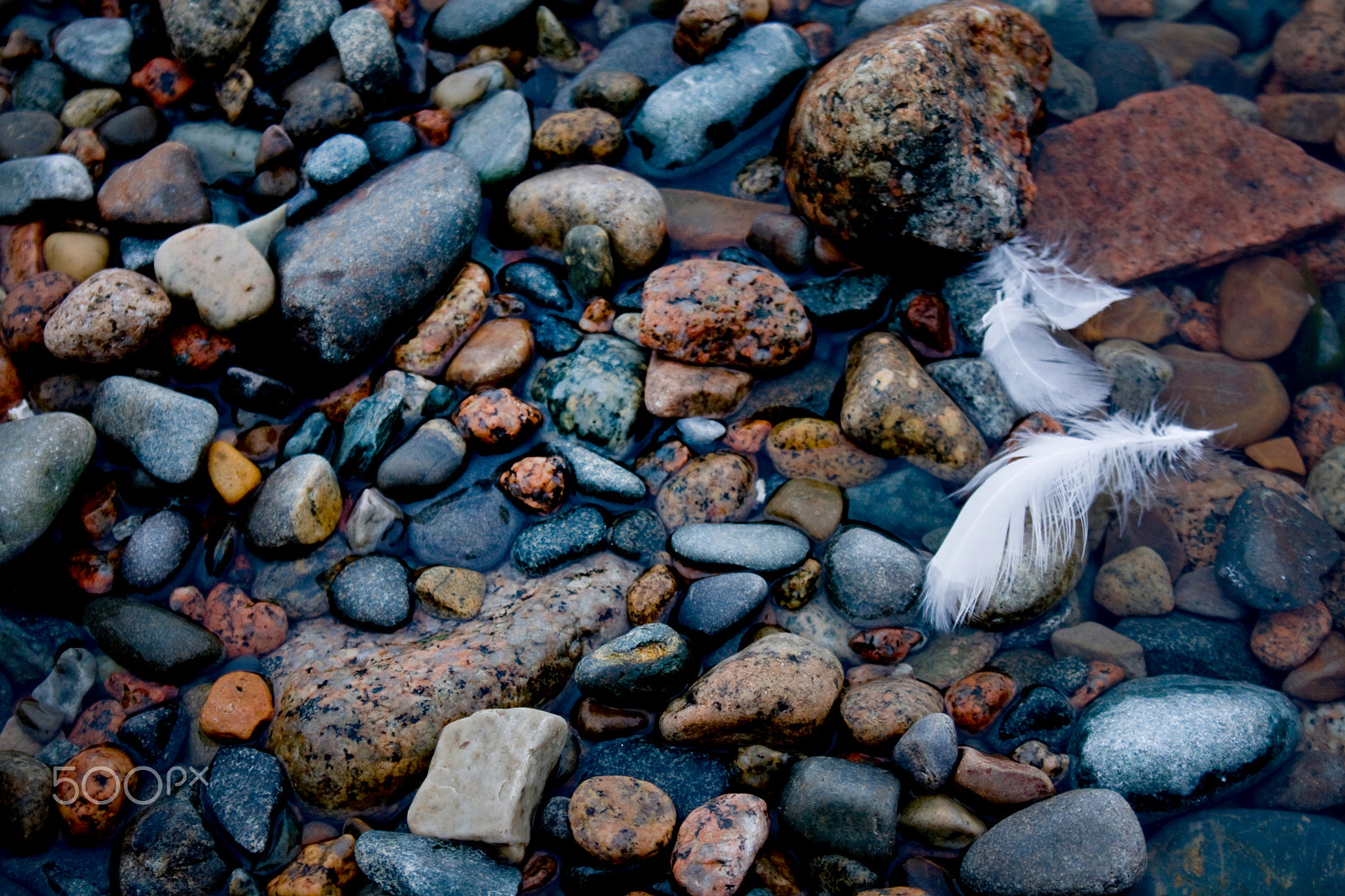 Canon EOS 400D (EOS Digital Rebel XTi / EOS Kiss Digital X) sample photo. White feathers with colorful beach stones photography