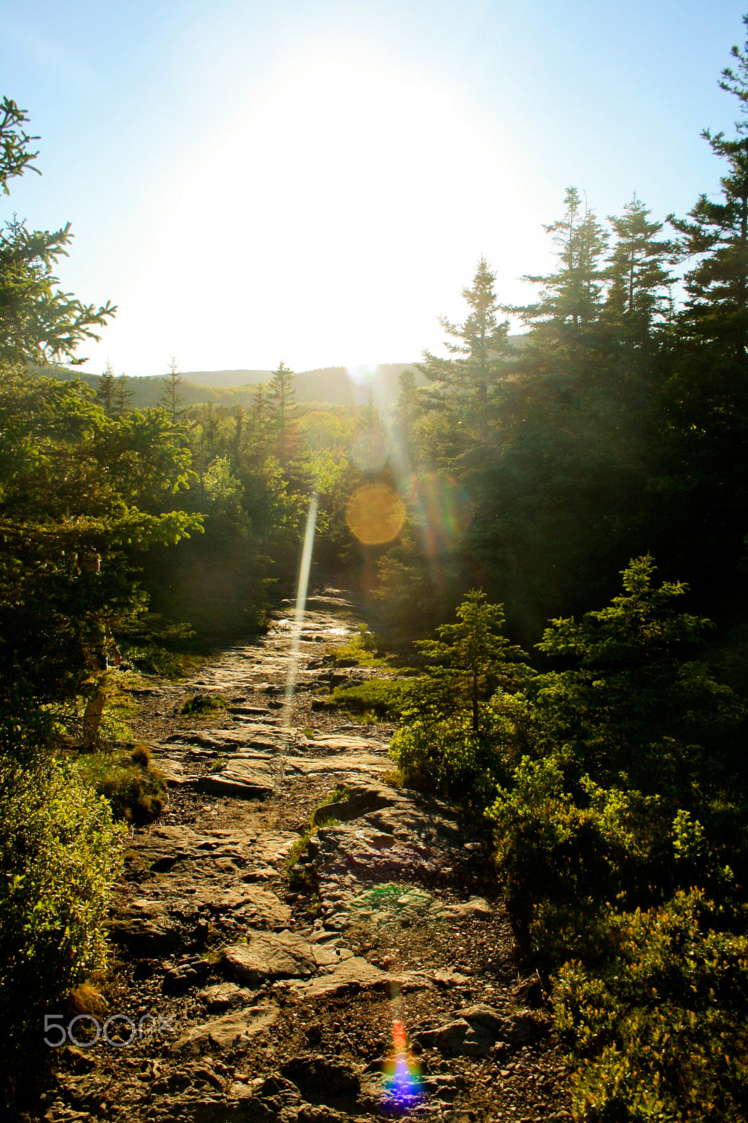 Canon EOS 400D (EOS Digital Rebel XTi / EOS Kiss Digital X) sample photo. Hiking trail in acadia national park with sunlight photography