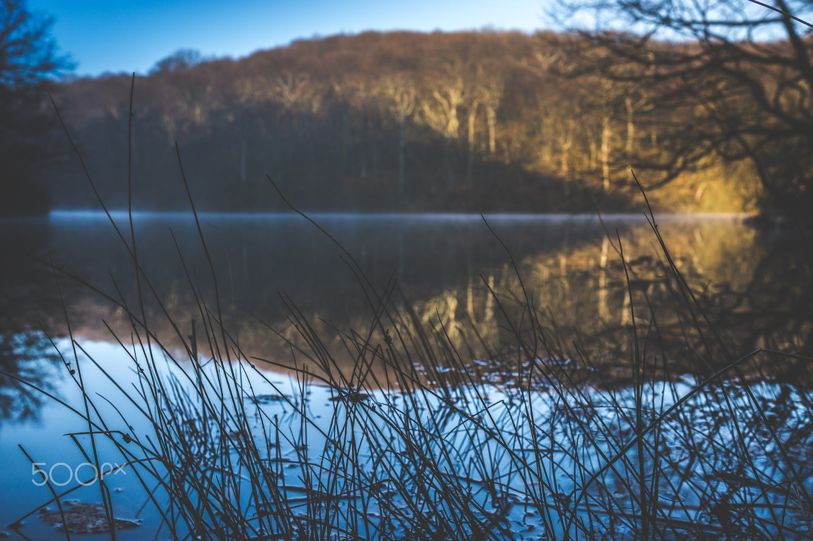 Sony a6000 sample photo. Magical moments at belgrade forest / istanbul photography