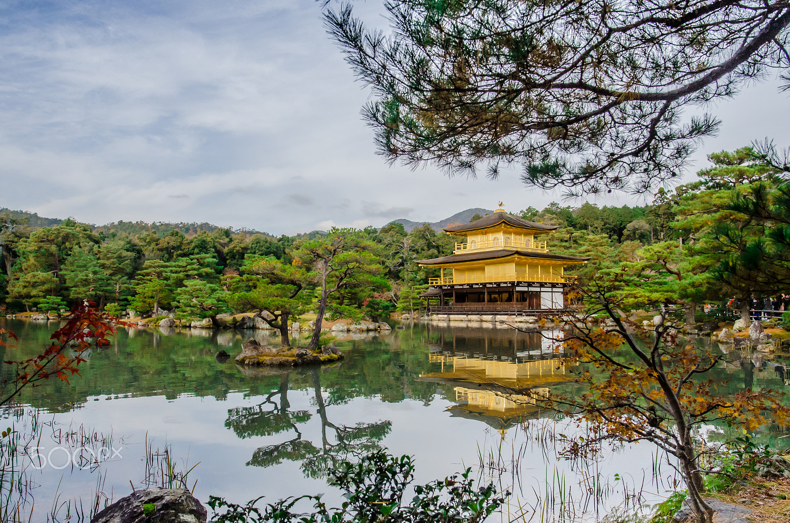 Nikon D7000 + Samyang 16mm F2 ED AS UMC CS sample photo. The golden pavillion photography