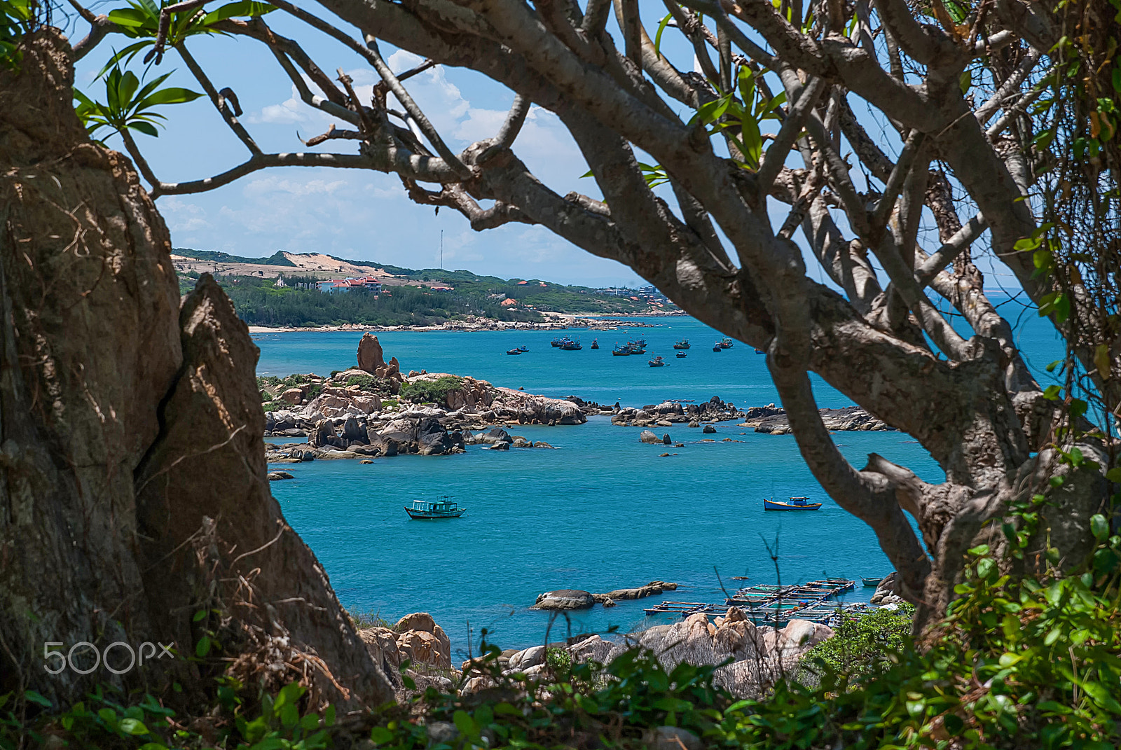 Nikon D80 sample photo. Trees and blue sea vietnam photography