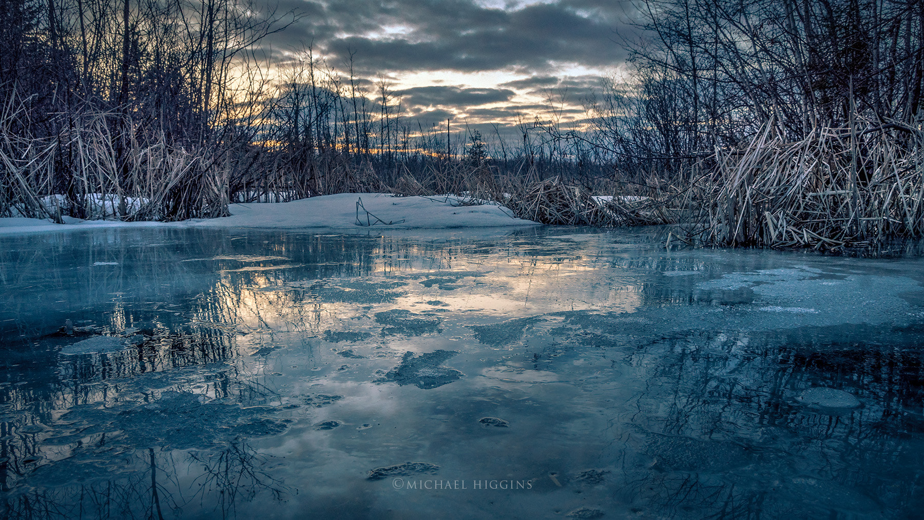 Nikon D90 sample photo. Reeds on ice photography