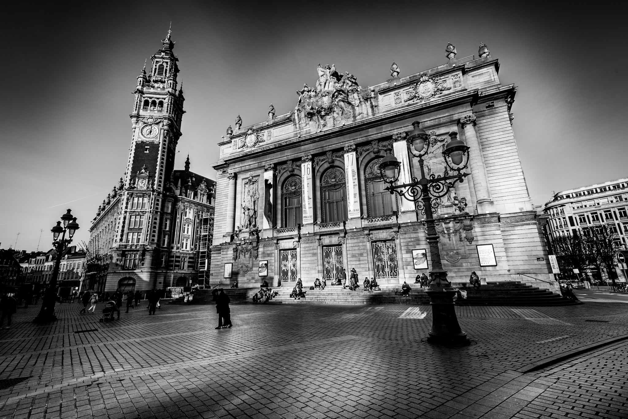 Nikon AF-S Nikkor 14-24mm F2.8G ED sample photo. Opéra de lille photography