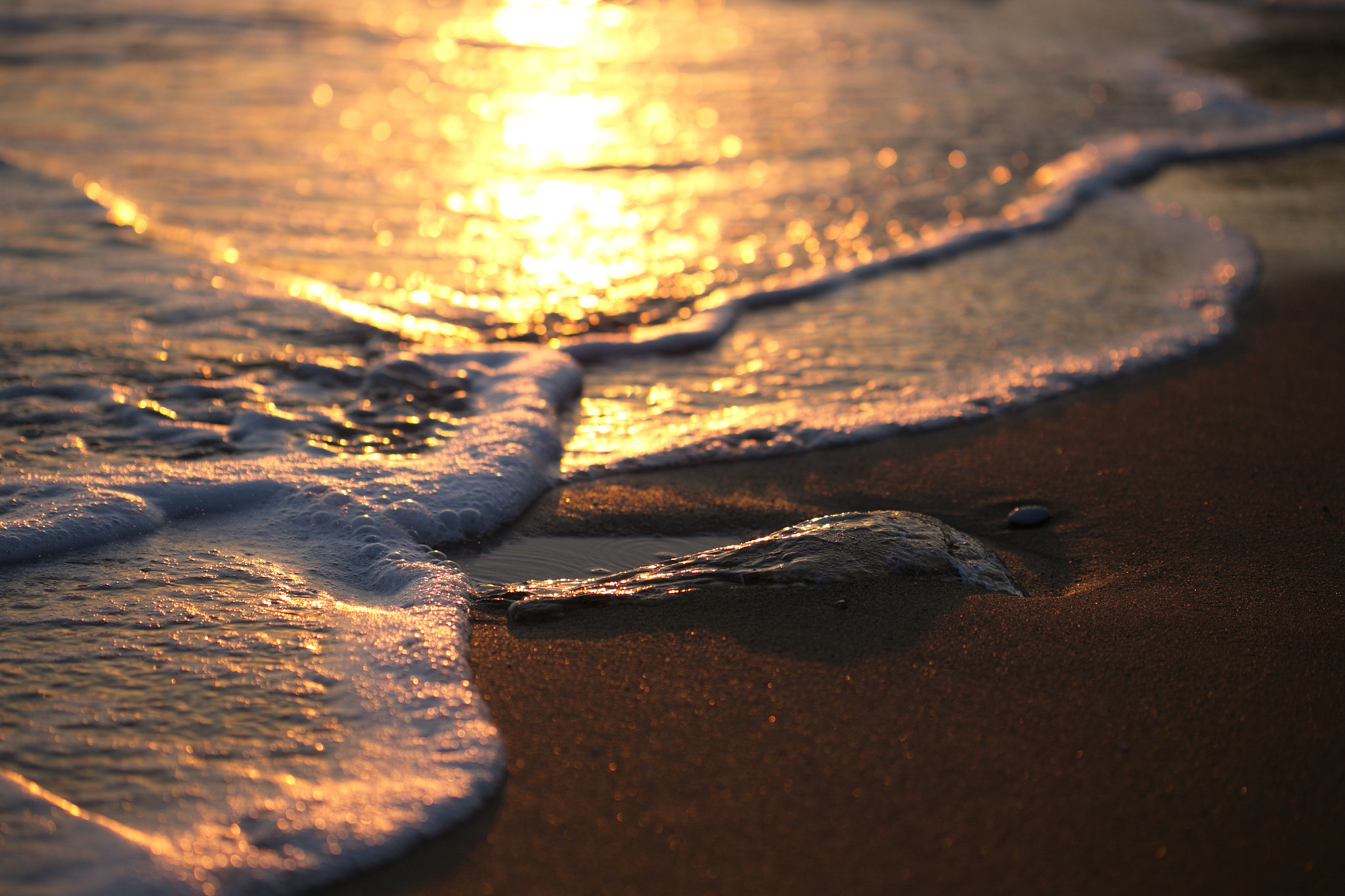 Canon EF 100mm F2.8 Macro USM sample photo. Reflections photography