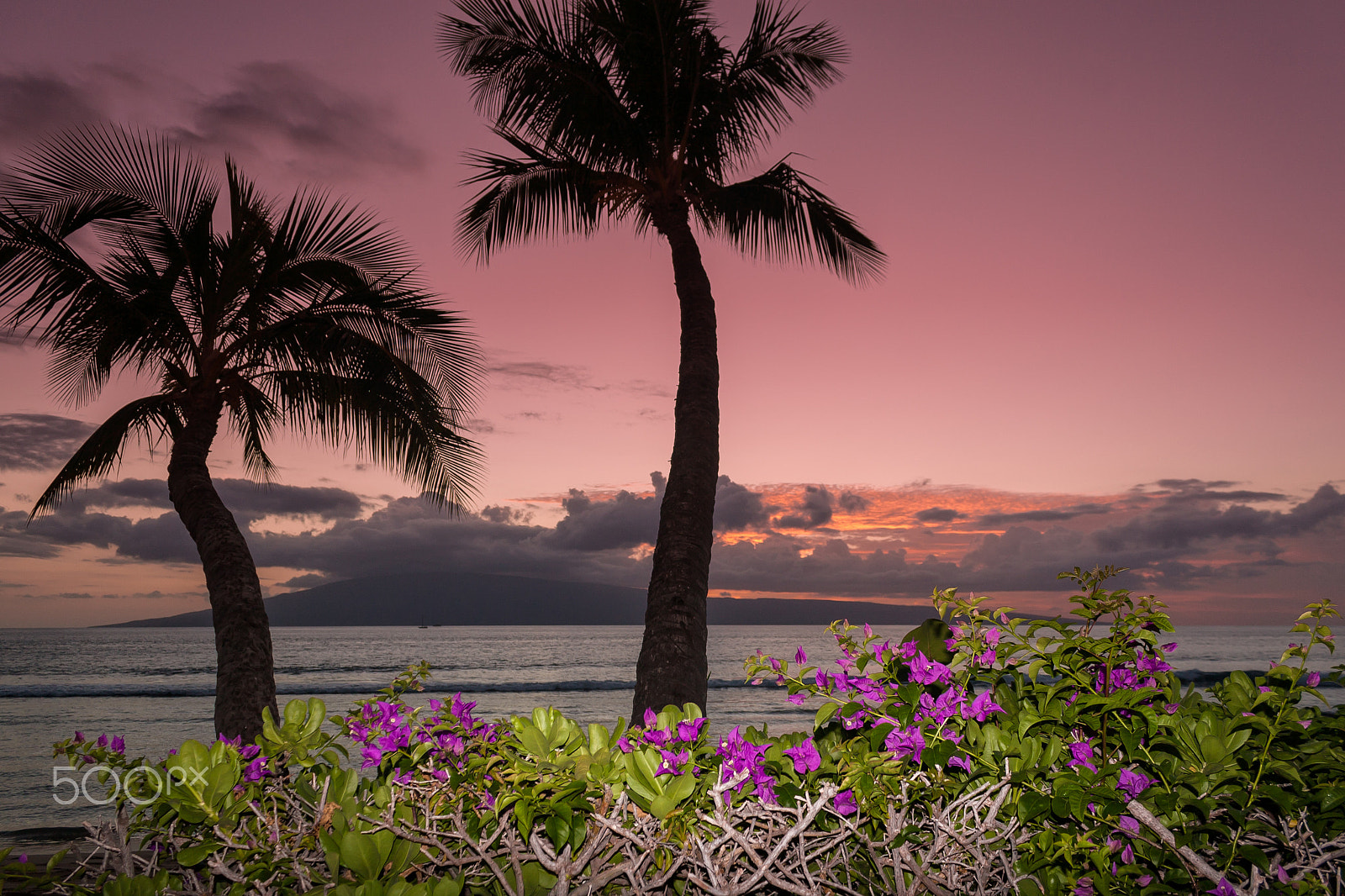 Canon EOS 30D sample photo. Tropical sunset on maui photography