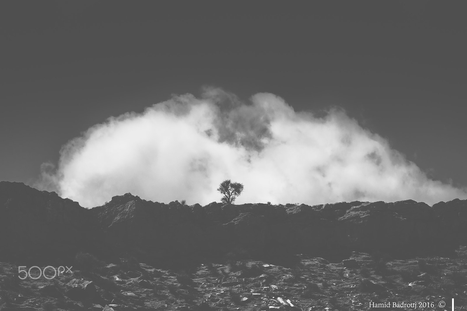 Canon EF 70-200mm F2.8L IS II USM sample photo. A requiem for the loneliness of a tree 1 photography