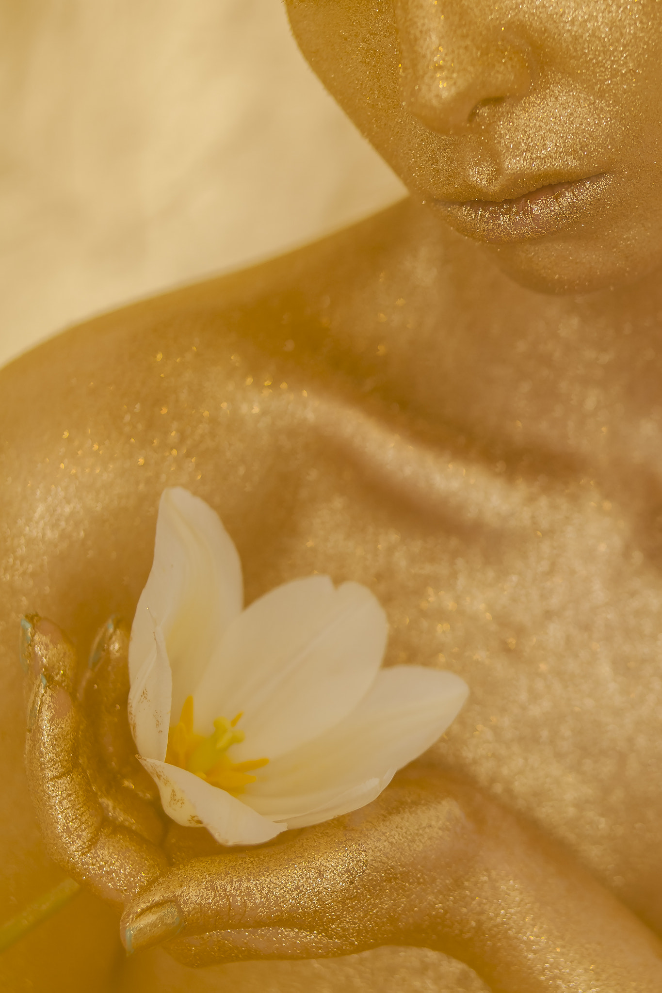 Canon EF 85mm F1.8 USM sample photo. Golden spring photography