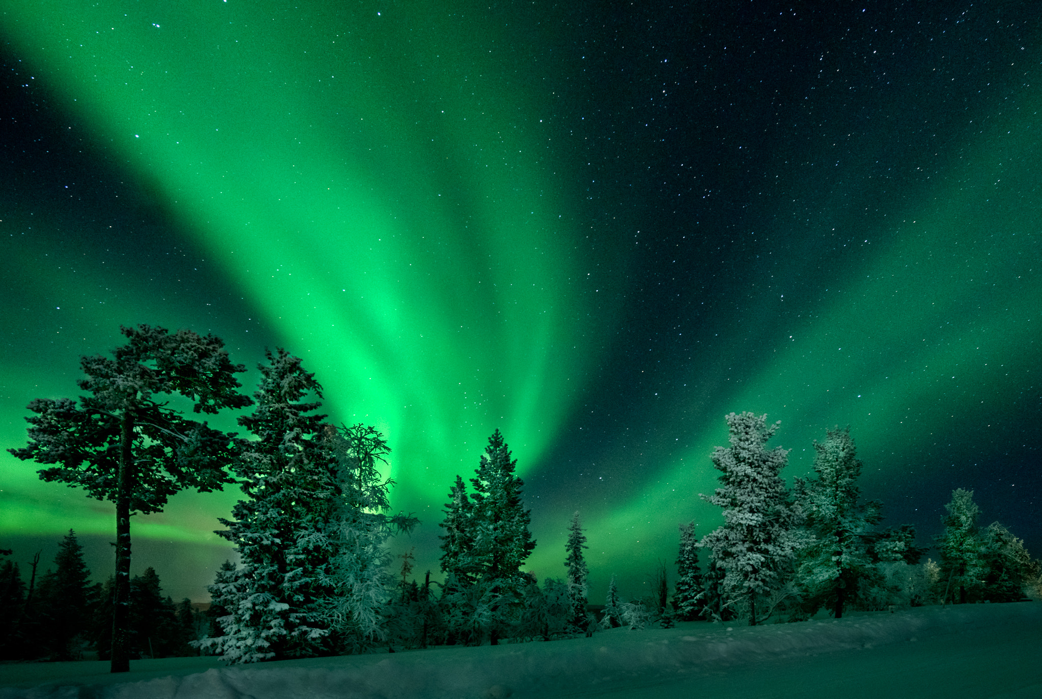Sony a7R II + Sony Vario-Tessar T* FE 16-35mm F4 ZA OSS sample photo. Northern lighs in finnish lapland photography