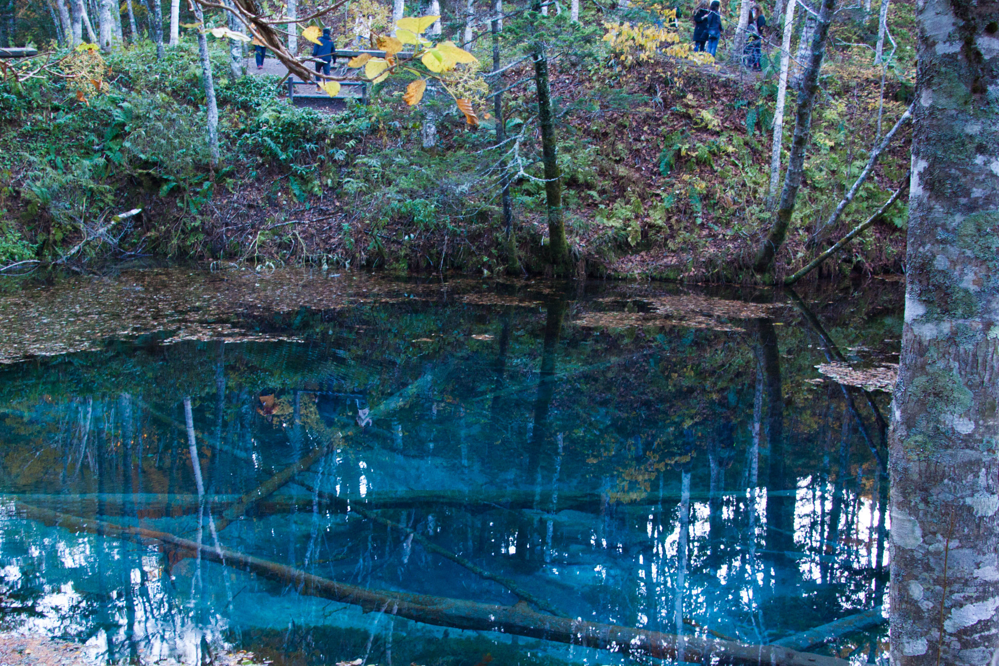 Canon EOS 500D (EOS Rebel T1i / EOS Kiss X3) sample photo. Blue pond photography