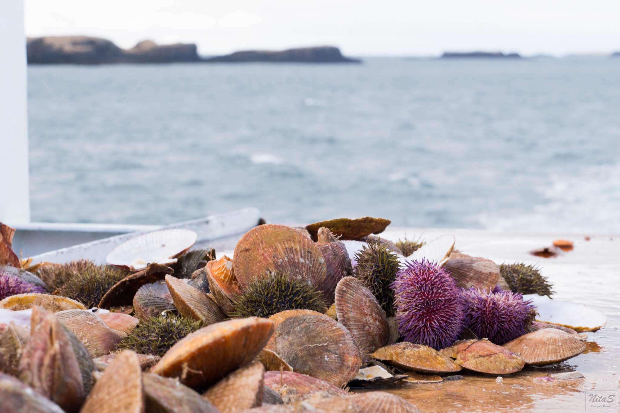 Olympus OM-D E-M1 Mark II + Olympus M.Zuiko Digital ED 40-150mm F2.8 Pro sample photo. Out of the sea photography