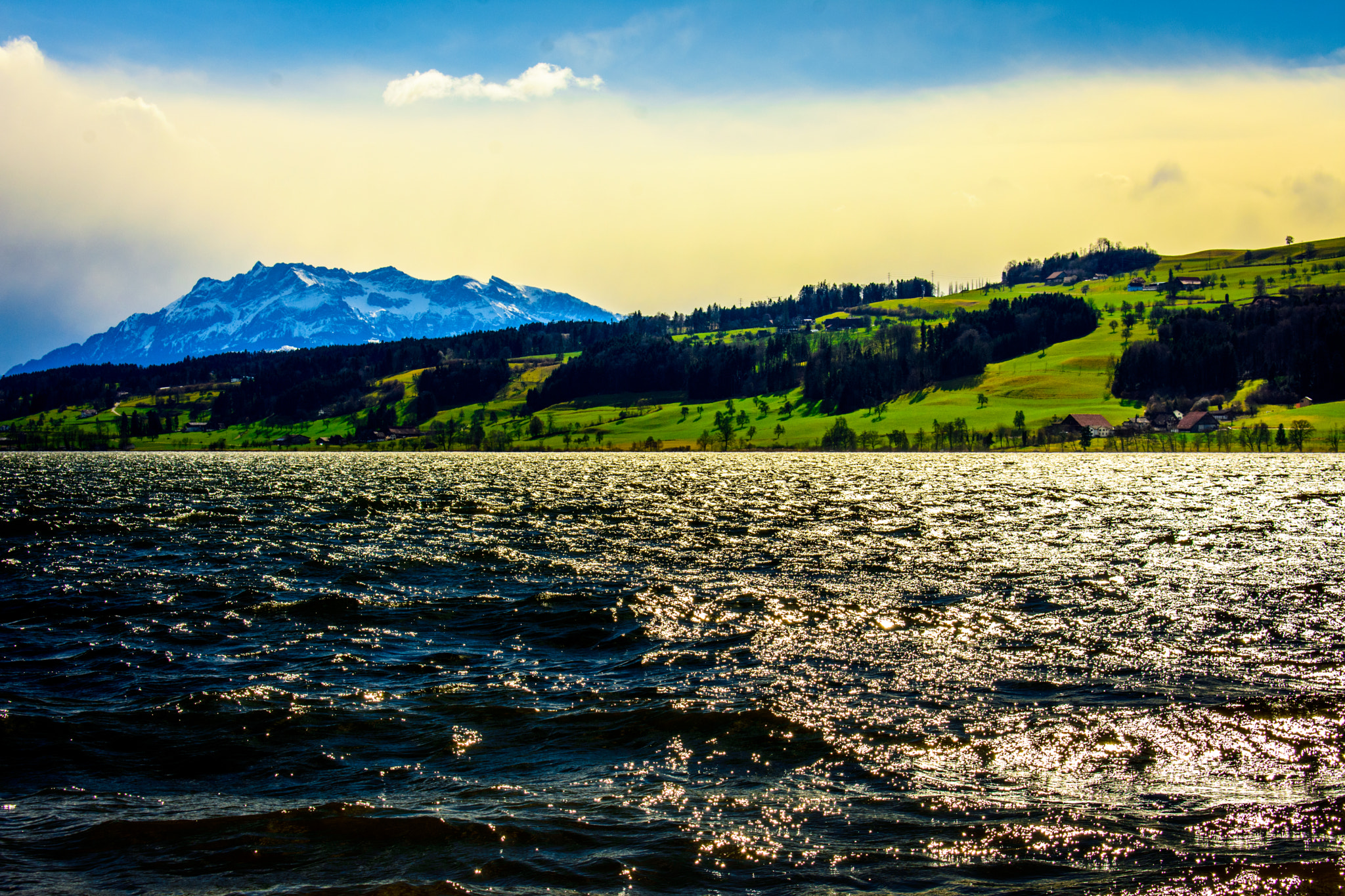 Nikon D3400 sample photo. Nature medley photography