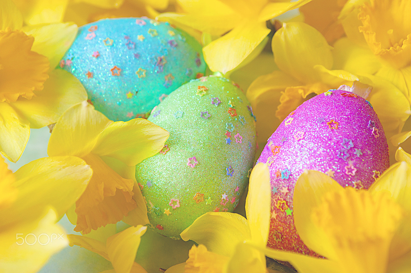 Nikon D700 sample photo. Background with easter eggs and flowers of yellow daffodils photography
