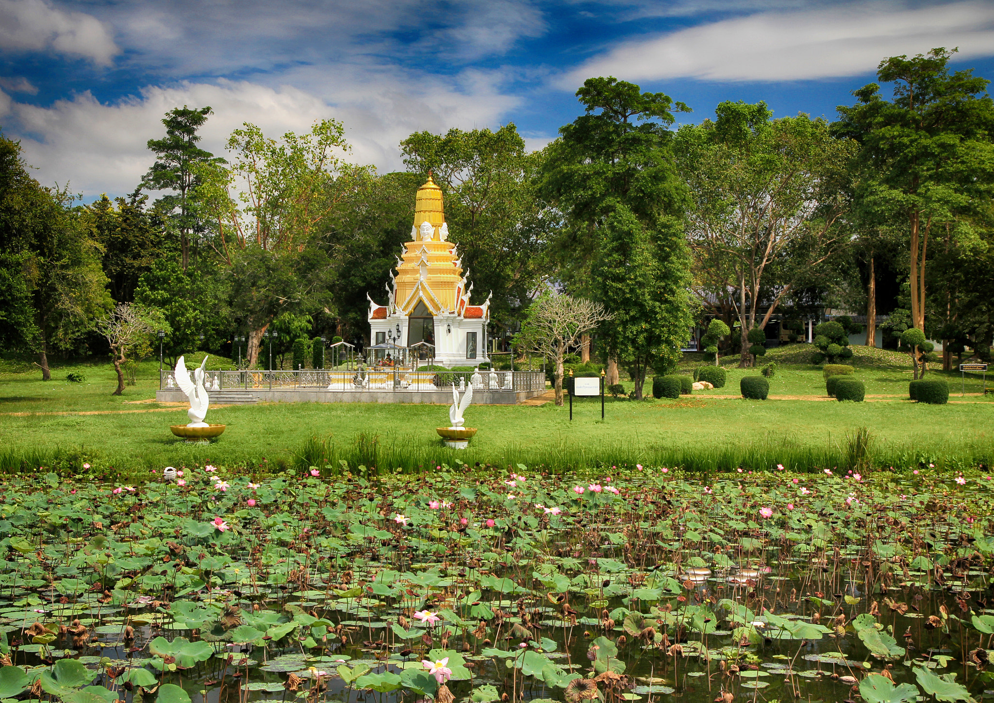 Tamron SP AF 17-50mm F2.8 XR Di II LD Aspherical (IF) sample photo. Landscape with lotuses photography