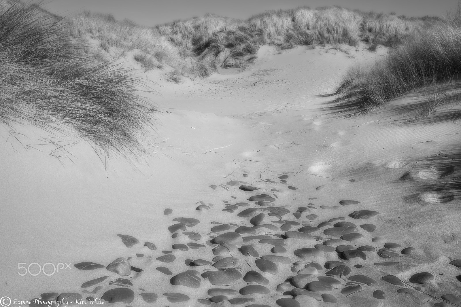 Nikon D500 sample photo. Pebble to dune photography