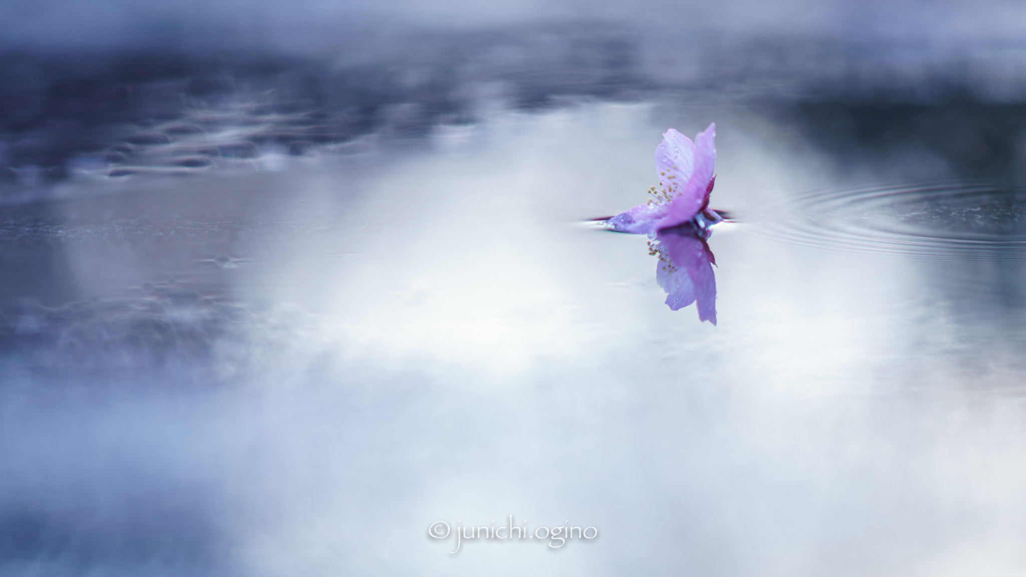 Sony Sonnar T* 135mm F1.8 ZA sample photo. Cold rain photography