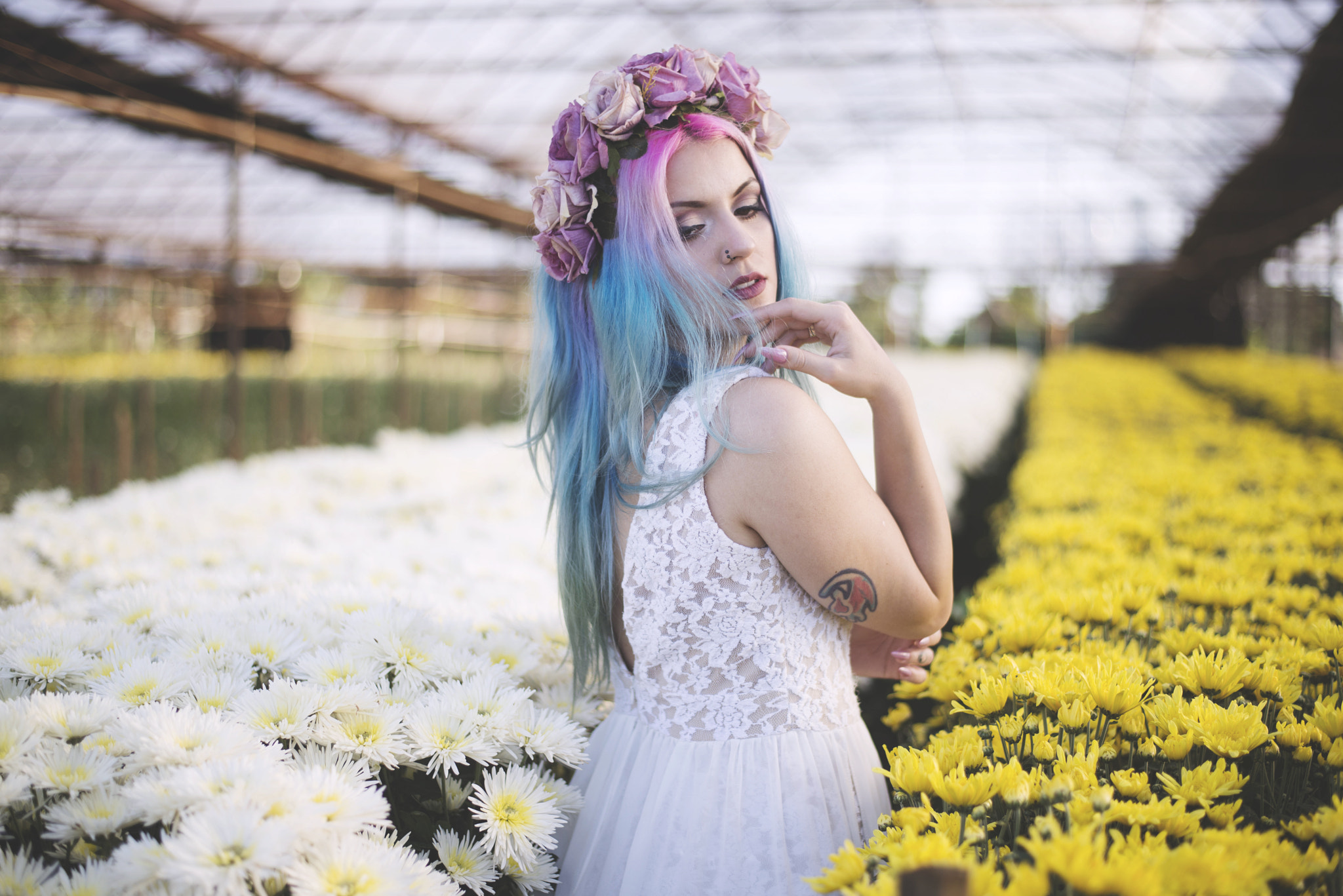 Nikon D610 + Nikon AF-S Nikkor 50mm F1.8G sample photo. Nay photography