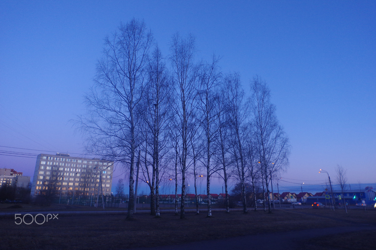 Pentax smc DA 15mm F4 ED AL Limited sample photo. Lights and trees photography