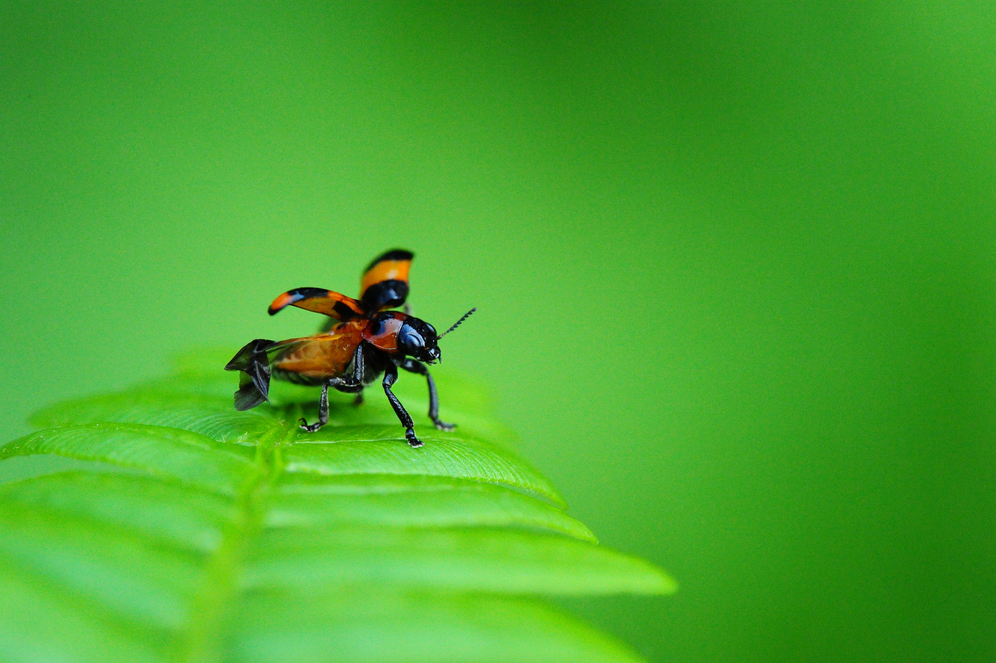 Nikon D3S sample photo. Moment photography