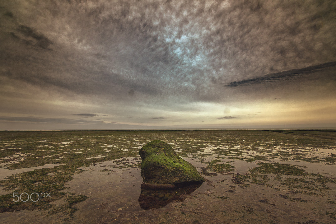 Sigma 10-20mm F4-5.6 EX DC HSM sample photo. Bajamar photography