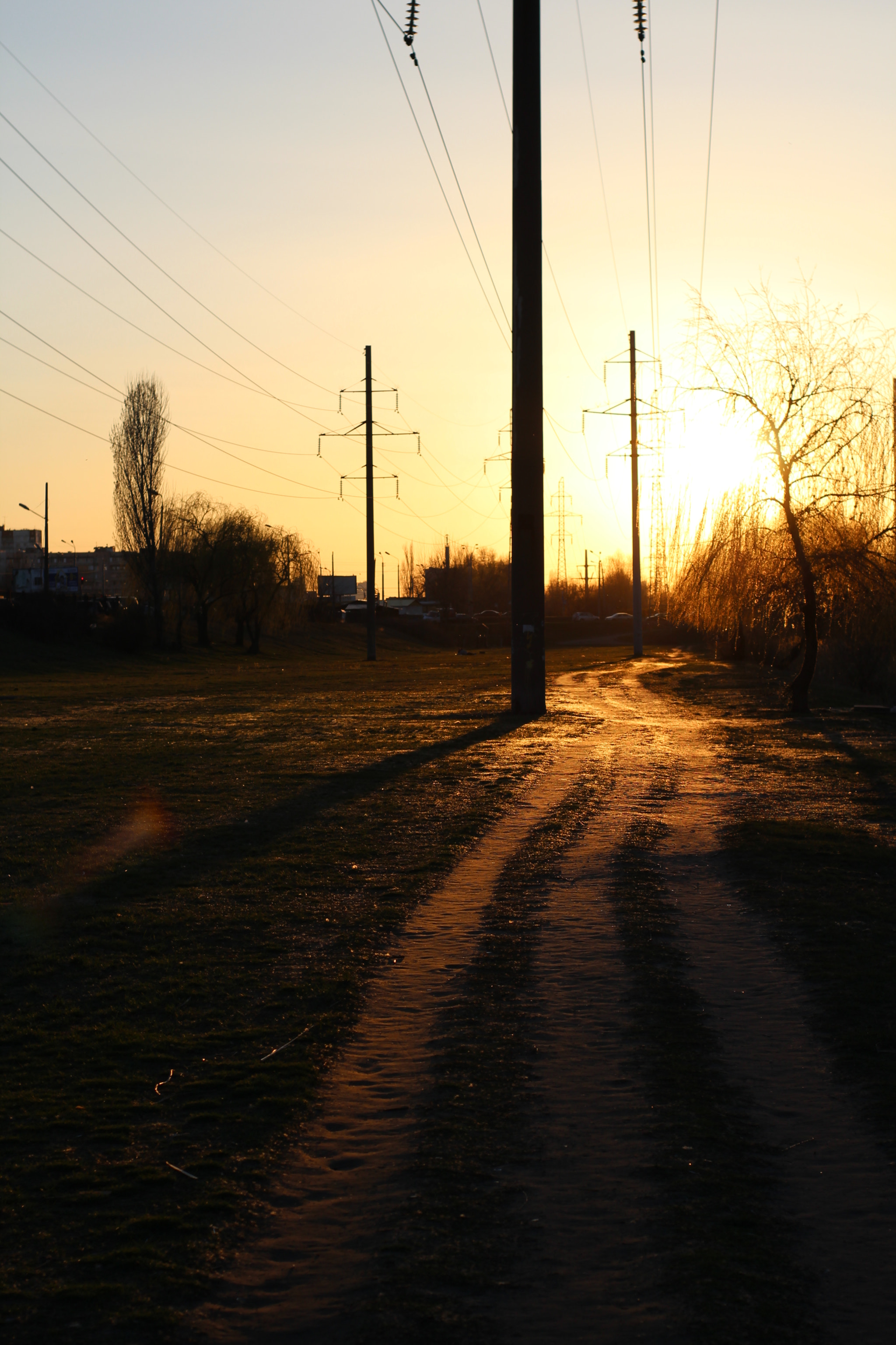 Canon 50mm sample photo