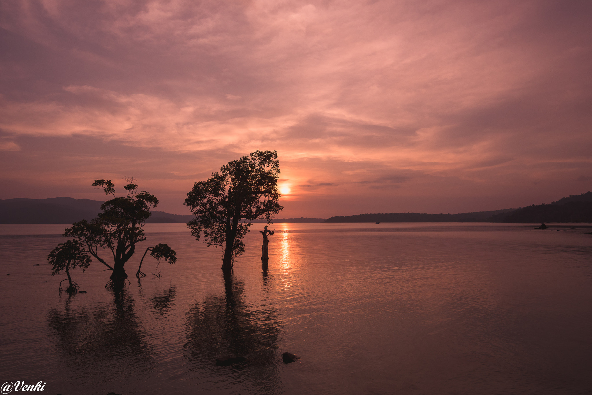 Nikon D750 sample photo. Trees - a sunset view photography