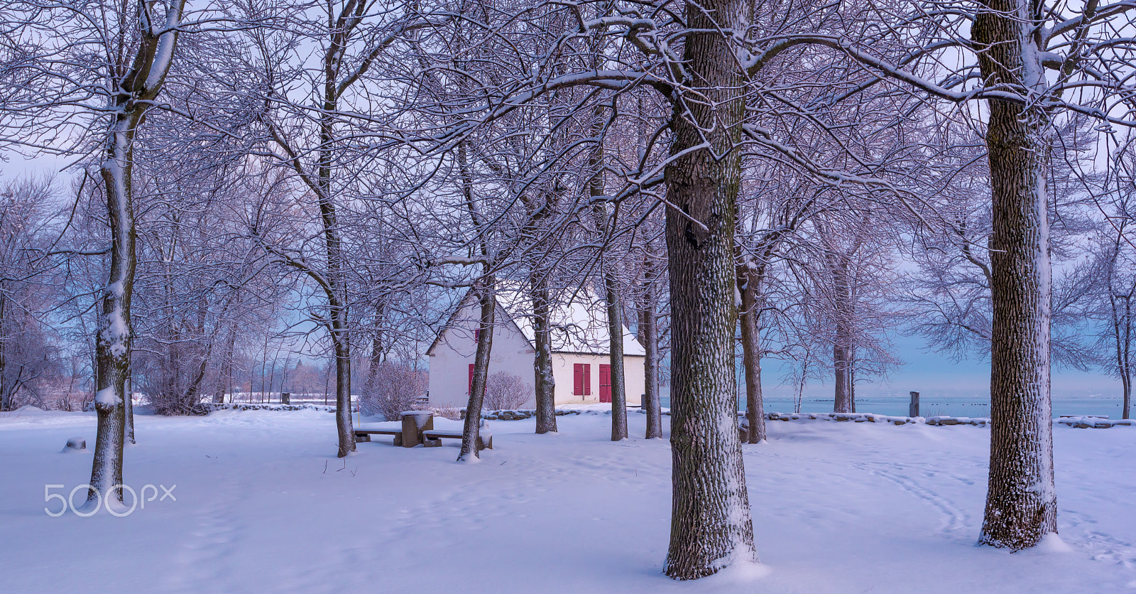 Nikon AF-S Nikkor 16-35mm F4G ED VR sample photo. Winter dreams photography