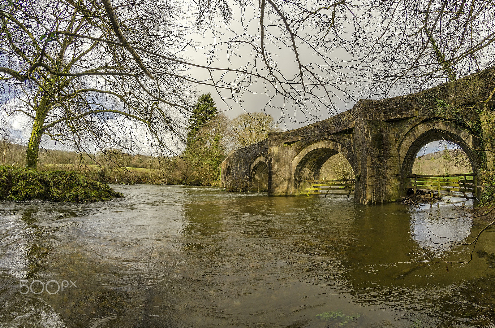 Nikon D5100 sample photo. Flood of river fowey at respryn woods, cornwall. photography