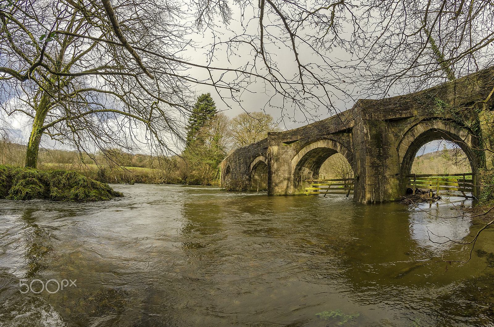 Samyang 8mm F3.5 Aspherical IF MC Fisheye sample photo. Flood of river fowey at respryn woods, cornwall. photography