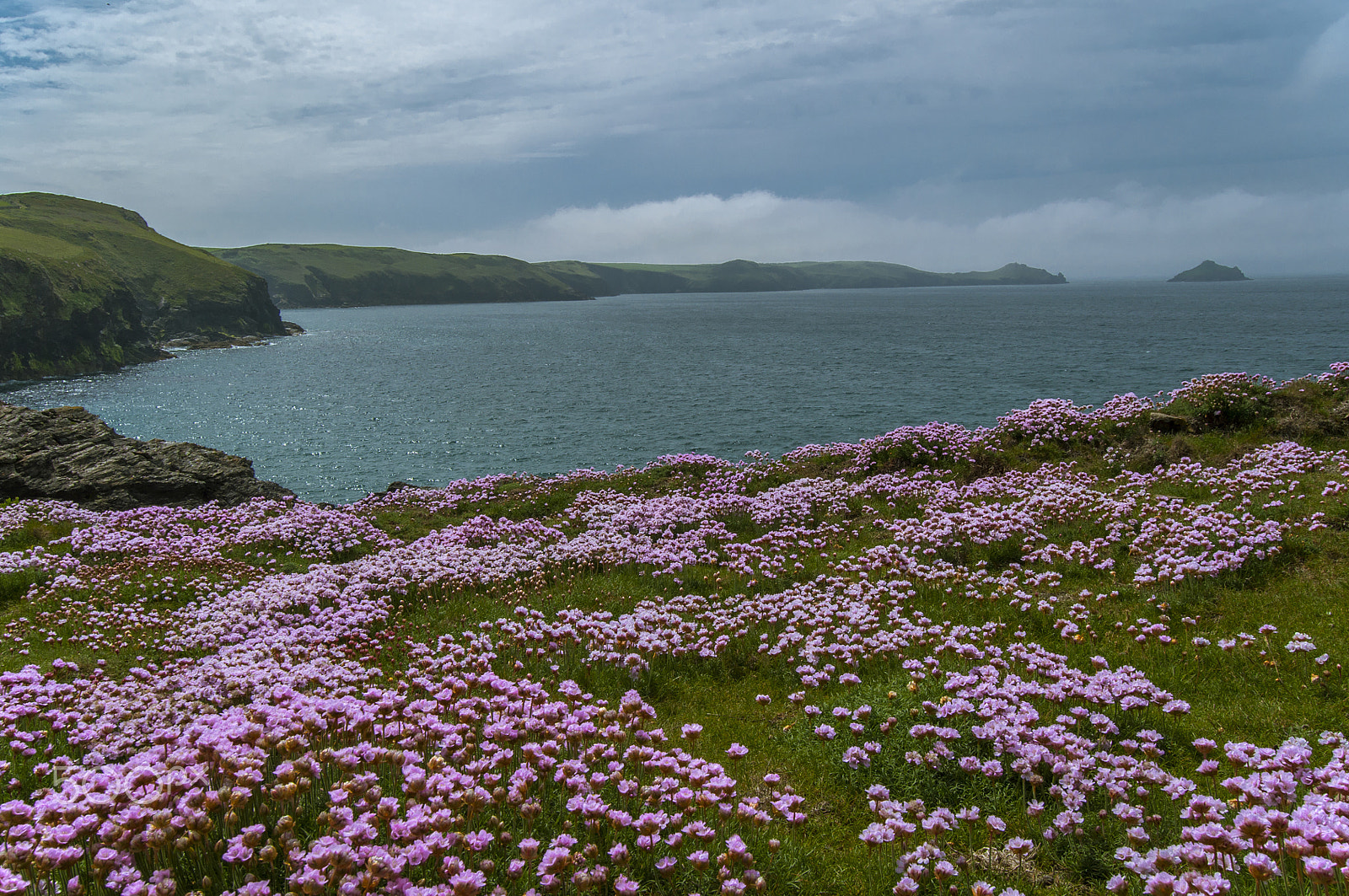 Nikon D5000 sample photo. Spring at port quin, cornwall, uk. photography