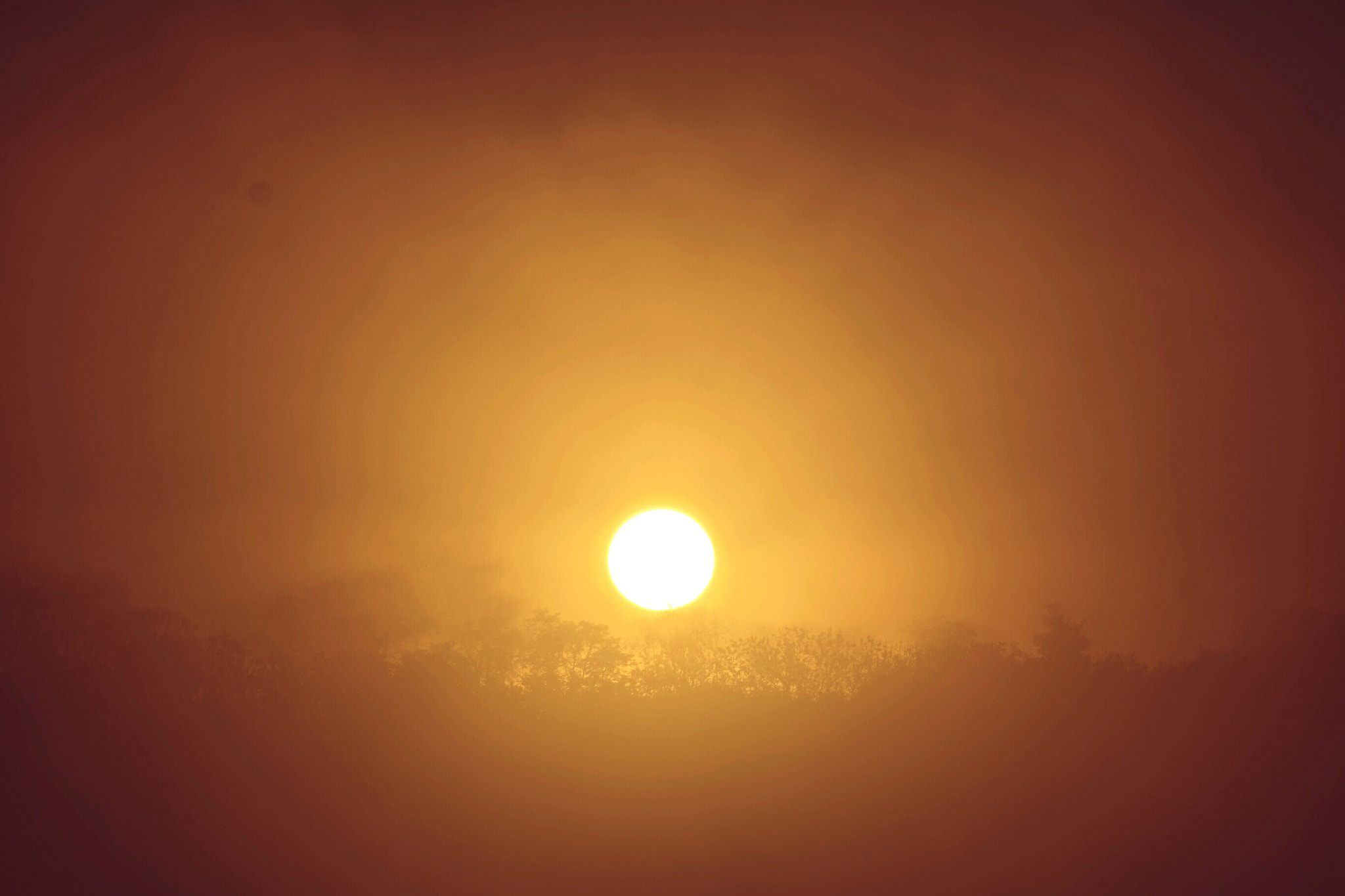 Samsung NX300M sample photo. Sunset in the fog photography