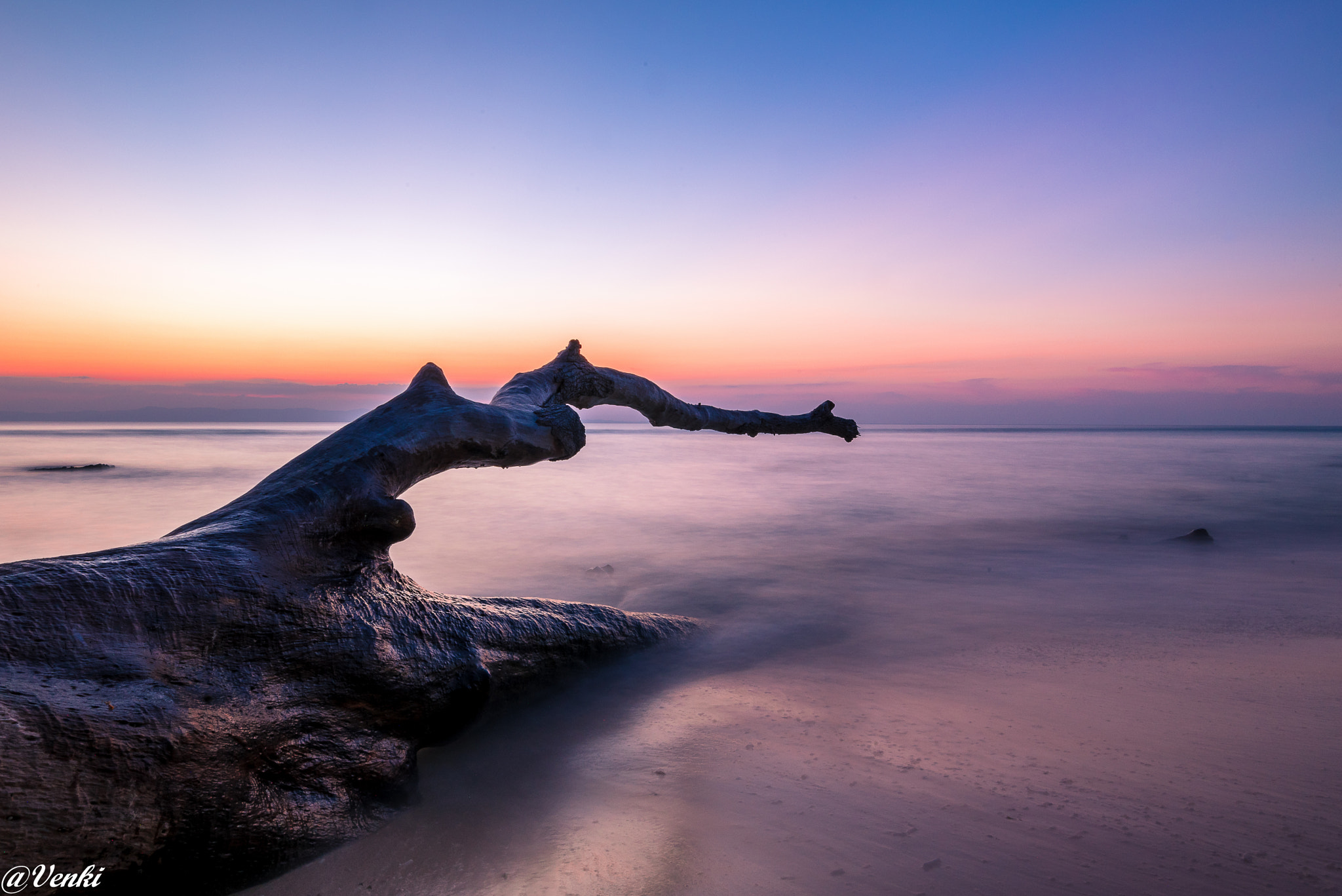 Nikon D750 sample photo. The tree root in water photography