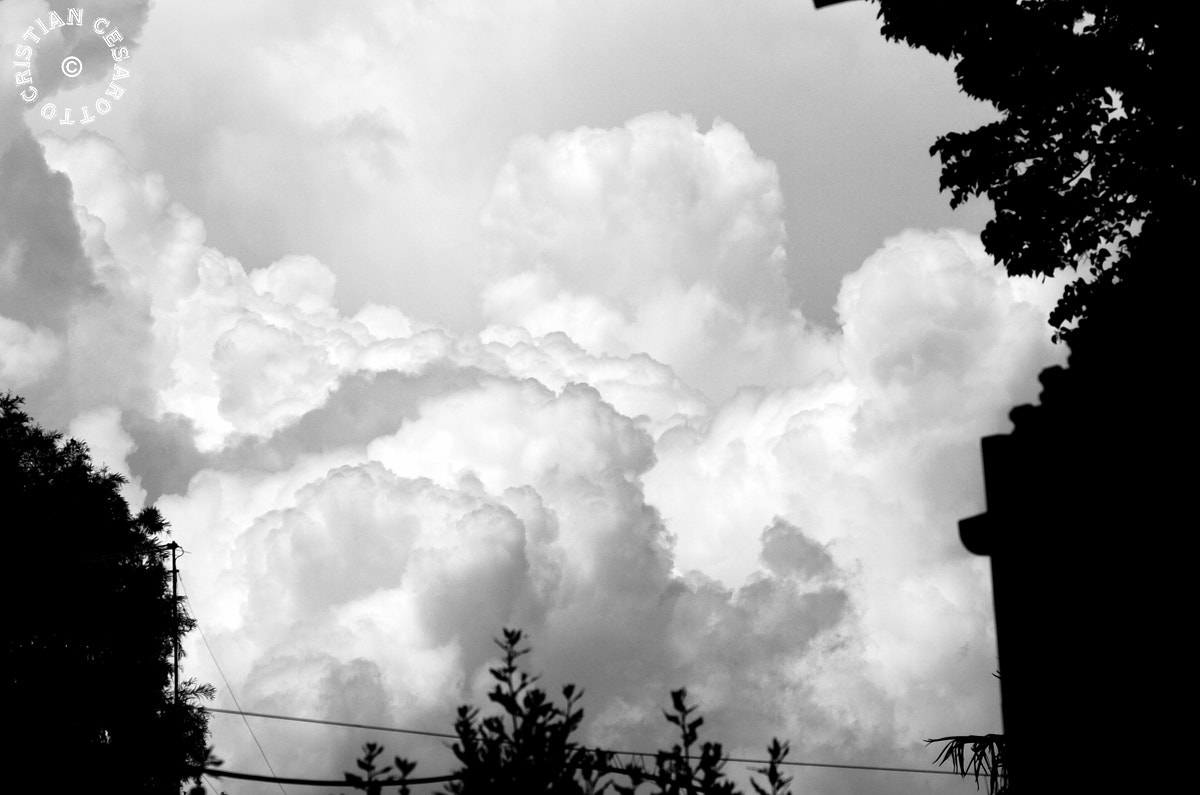 Nikon D2Hs sample photo. The storm is here!(pt.1) photography