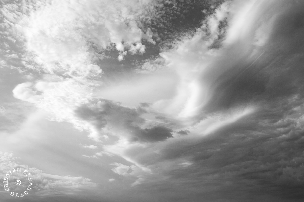 Nikon D2Hs sample photo. Cloud portrait photography