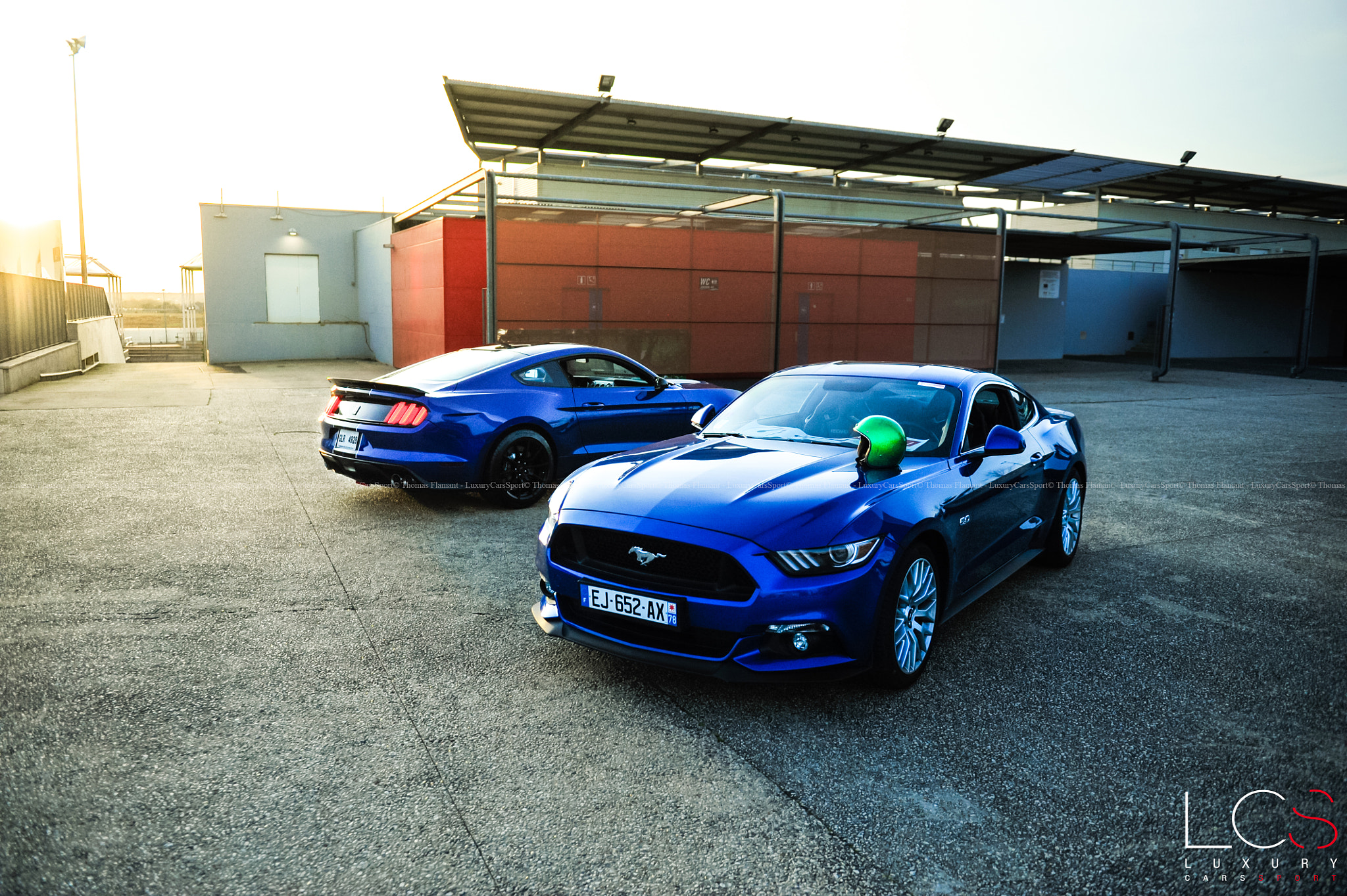 Nikon D700 sample photo. Ford mustang gt & shelby gt 350 photography