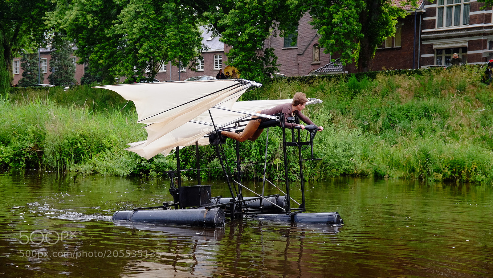 Fujifilm X100T sample photo. Bosch parade 2016, den bosch photography