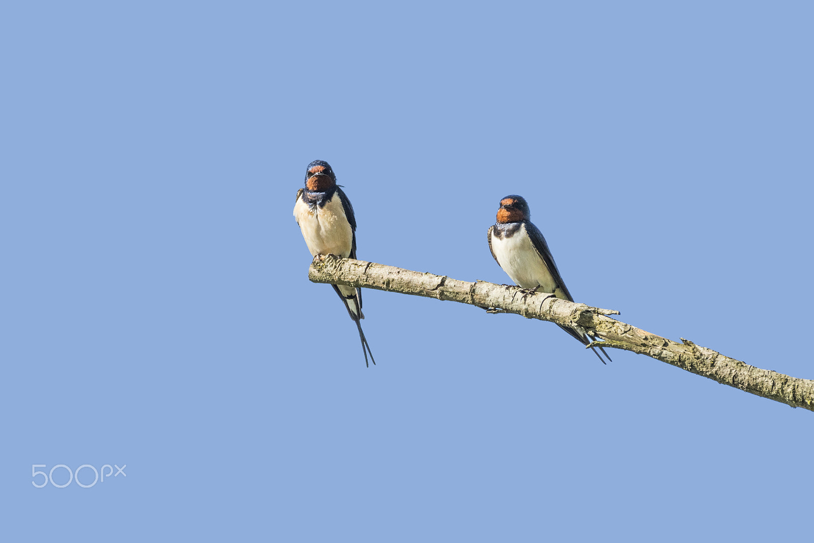 Sigma 150-600mm F5-6.3 DG OS HSM | C sample photo. Me & my wife photography
